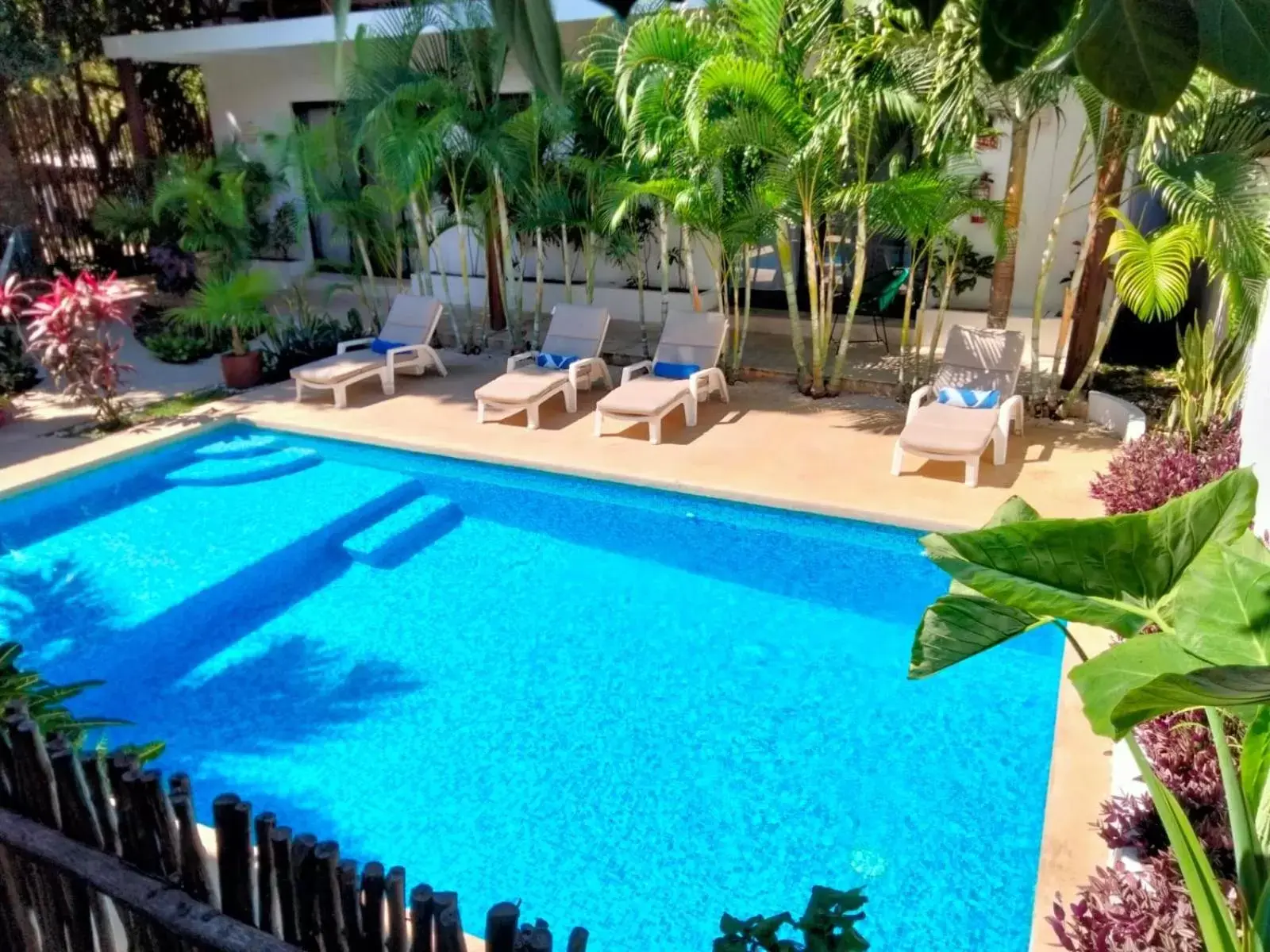 Swimming pool, Pool View in Azul 36 Hotel