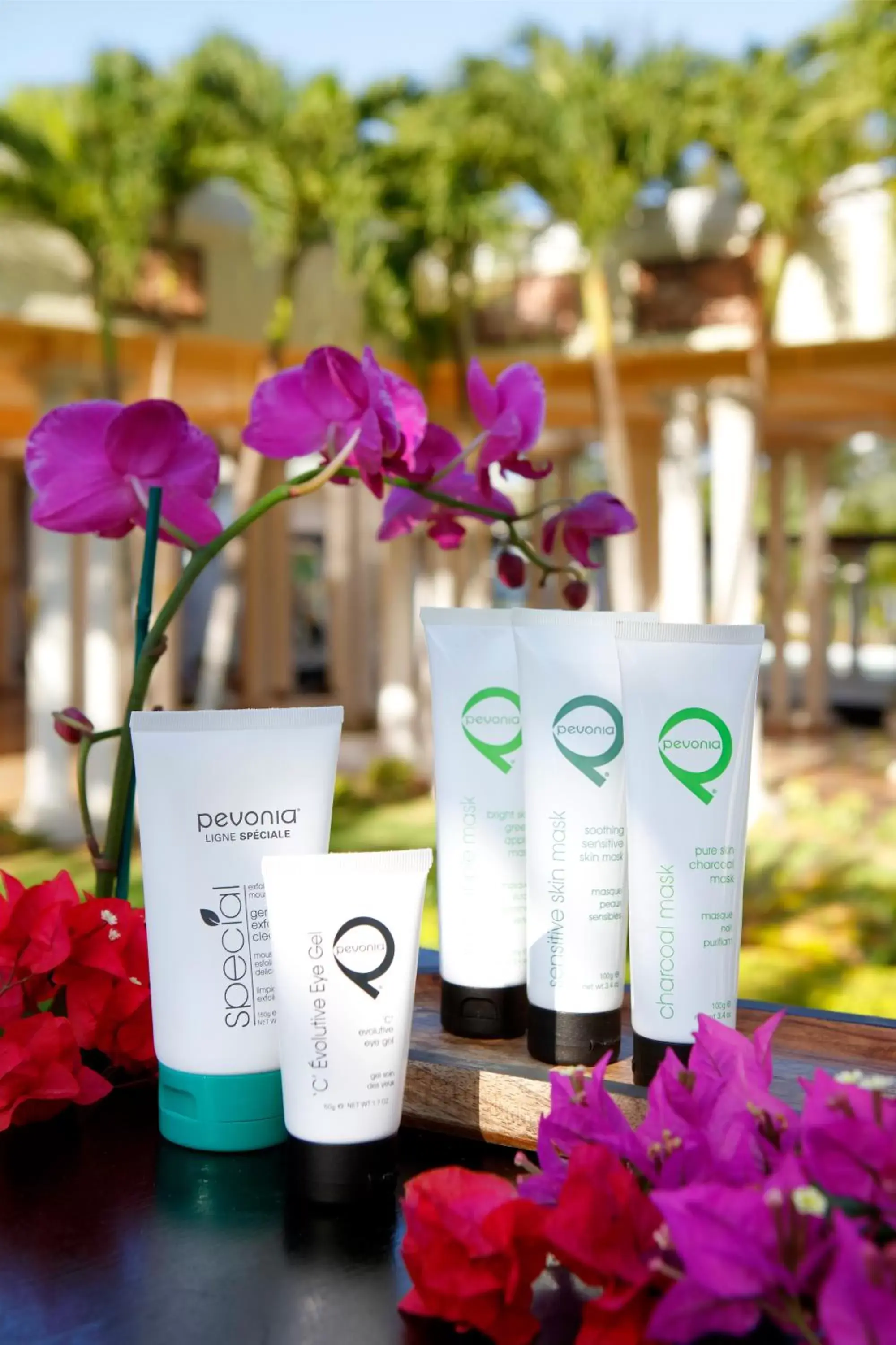 Spa and wellness centre/facilities in Grand Palladium Jamaica Resort & Spa All Inclusive Spa and wellness centre/facilities in Grand Palladium Jamaica Resort & Spa All Inclusive