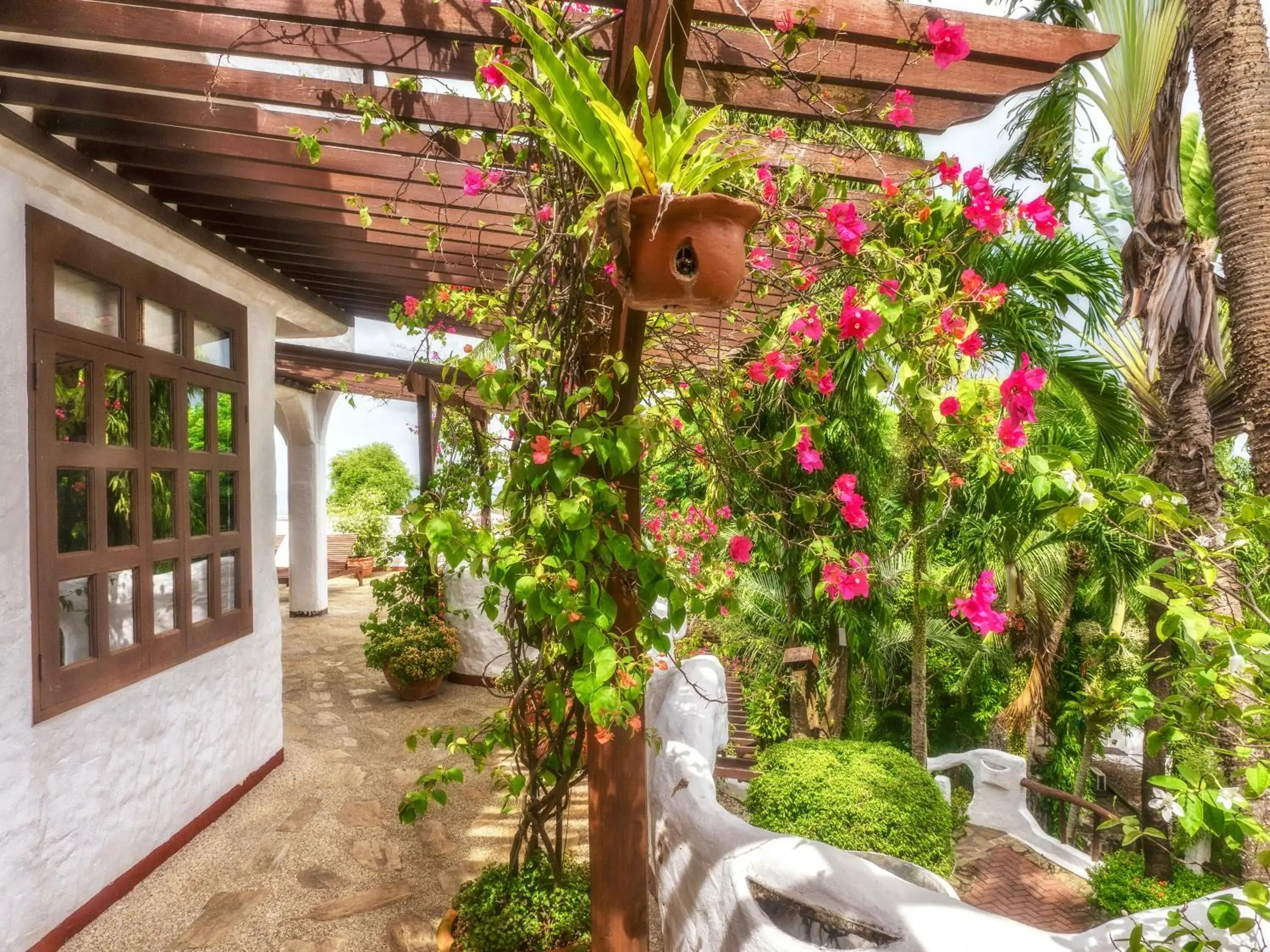 Garden in Atlantis Dive Resort Puerto Galera