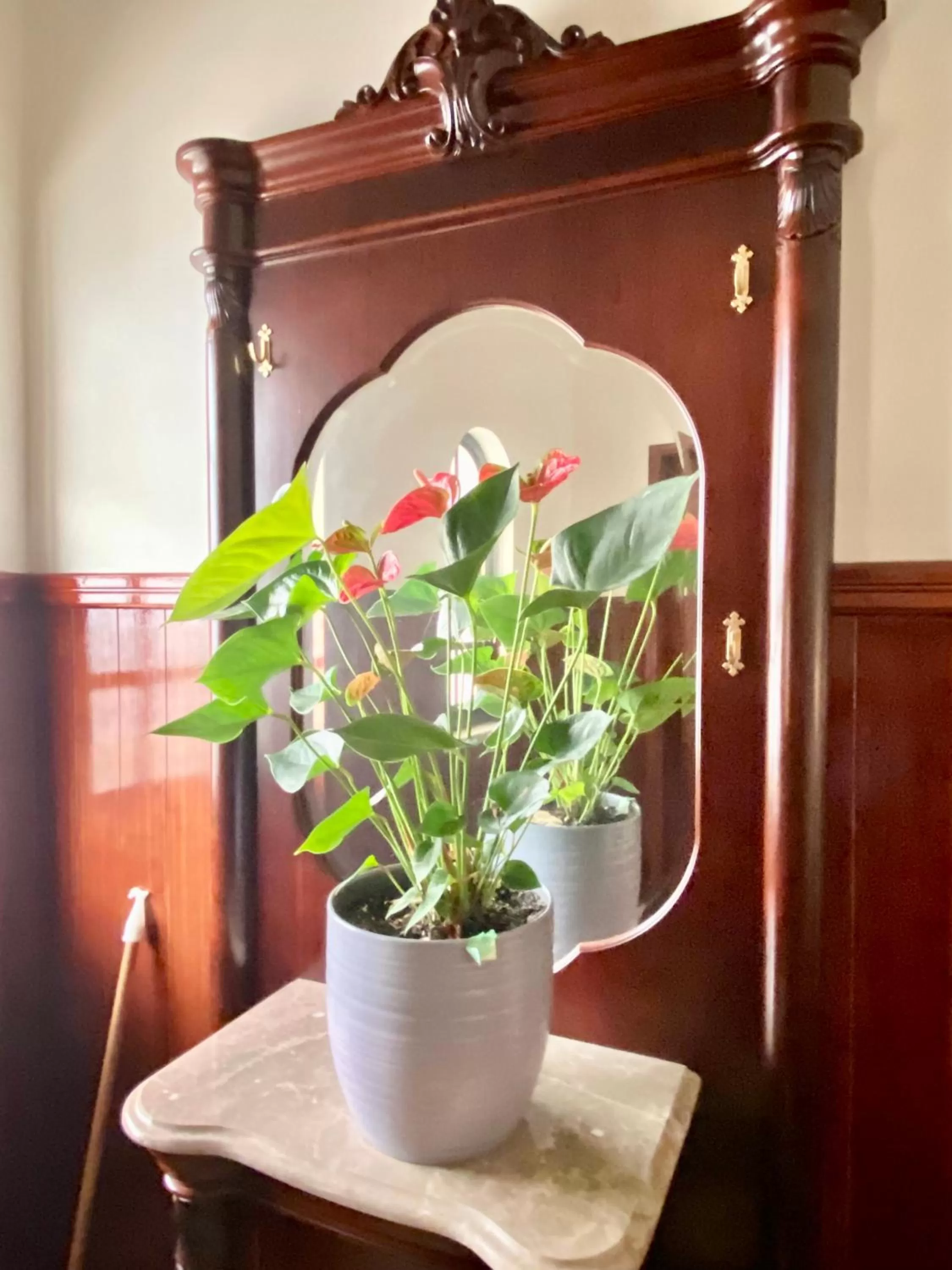 Decorative detail in Spray B&B Sitio in Nazare Mini bar, European style