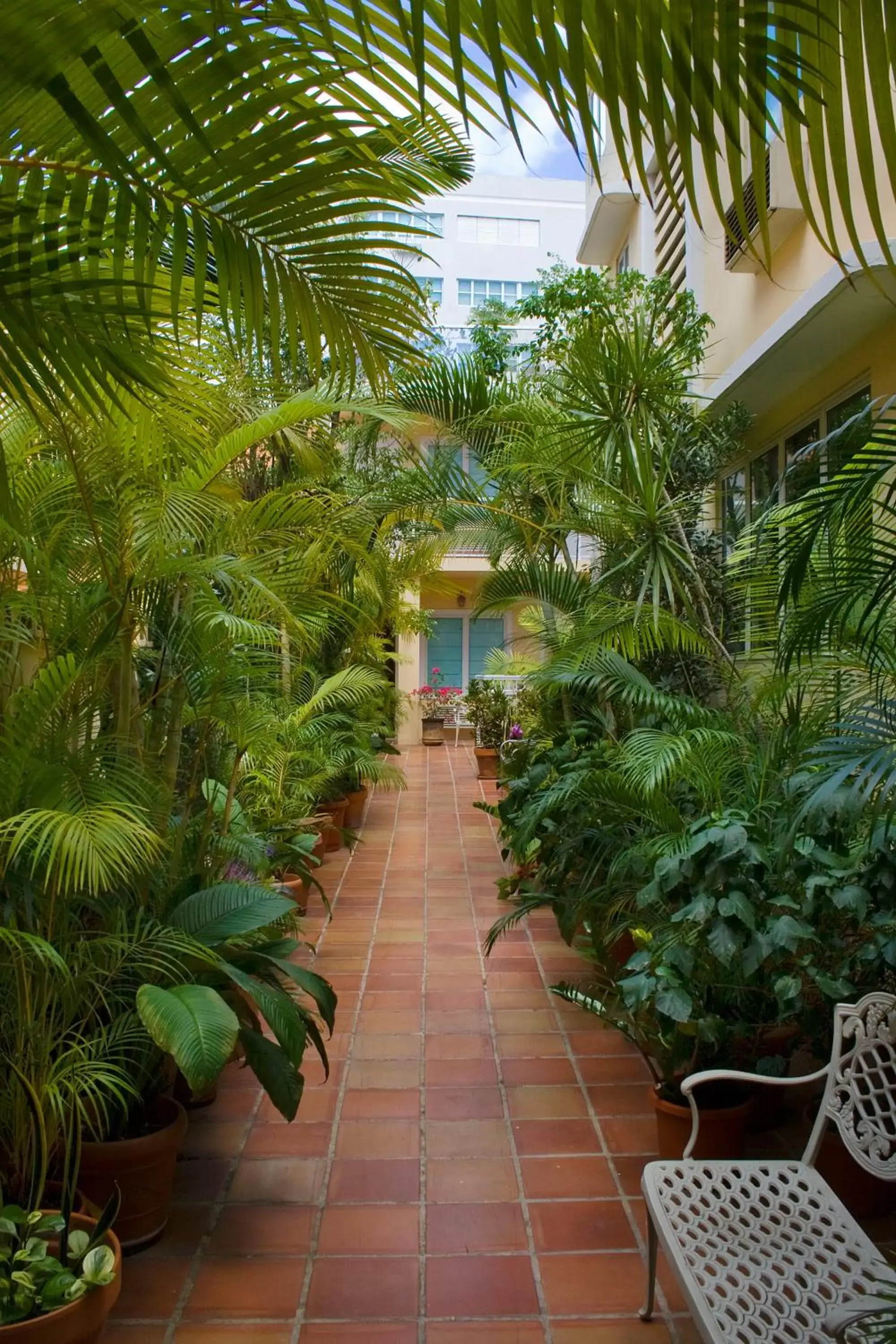 Garden in Coral Princess Hotel