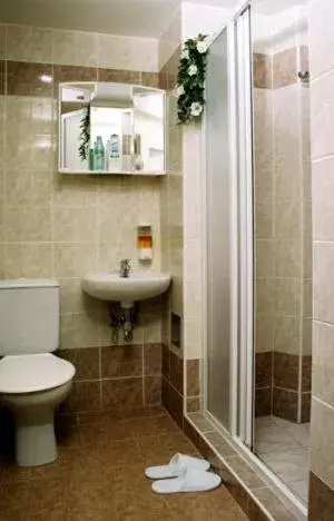 Toilet, Bathroom in Pension Prague City