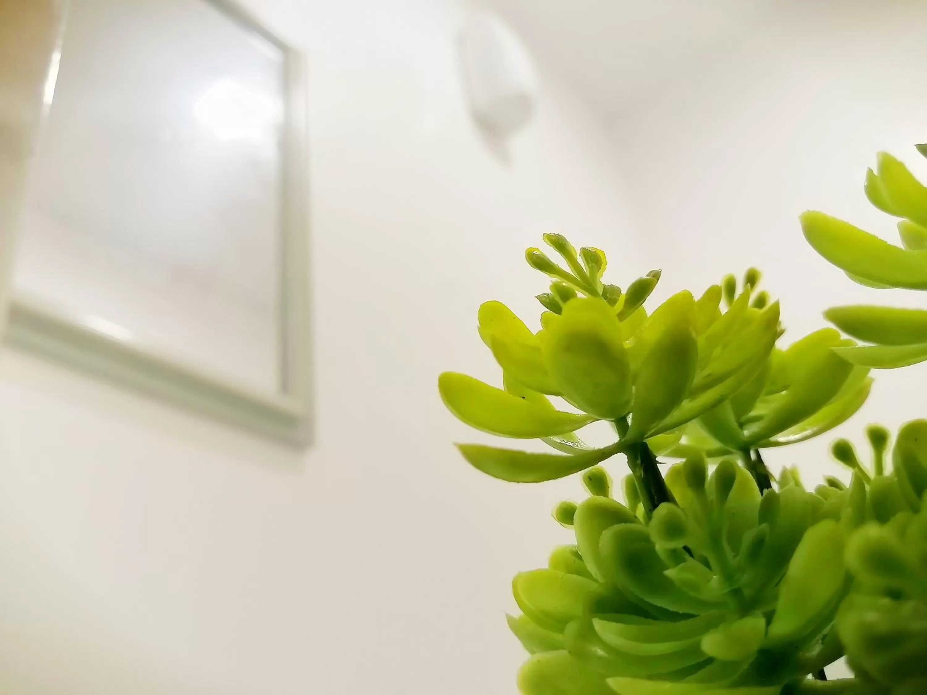 Decorative detail in VG Pension and Residences