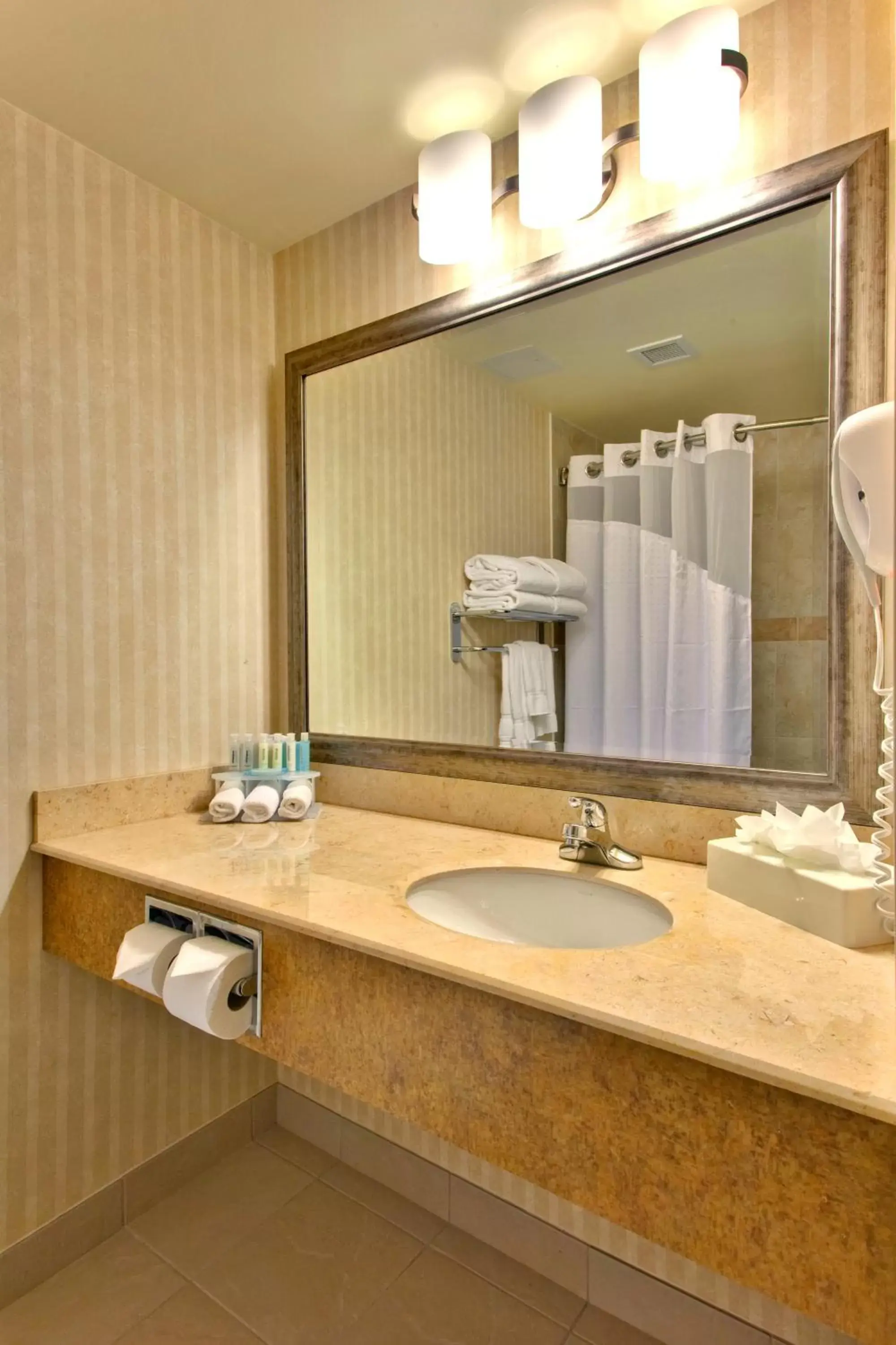Bathroom in Holiday Inn Express Hotel & Suites-Edmonton South, an IHG Hotel