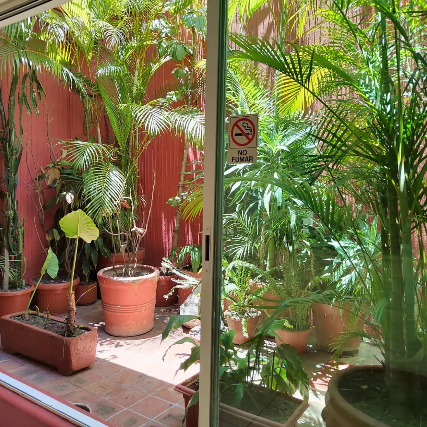 Patio in Hotel Posada el Cid