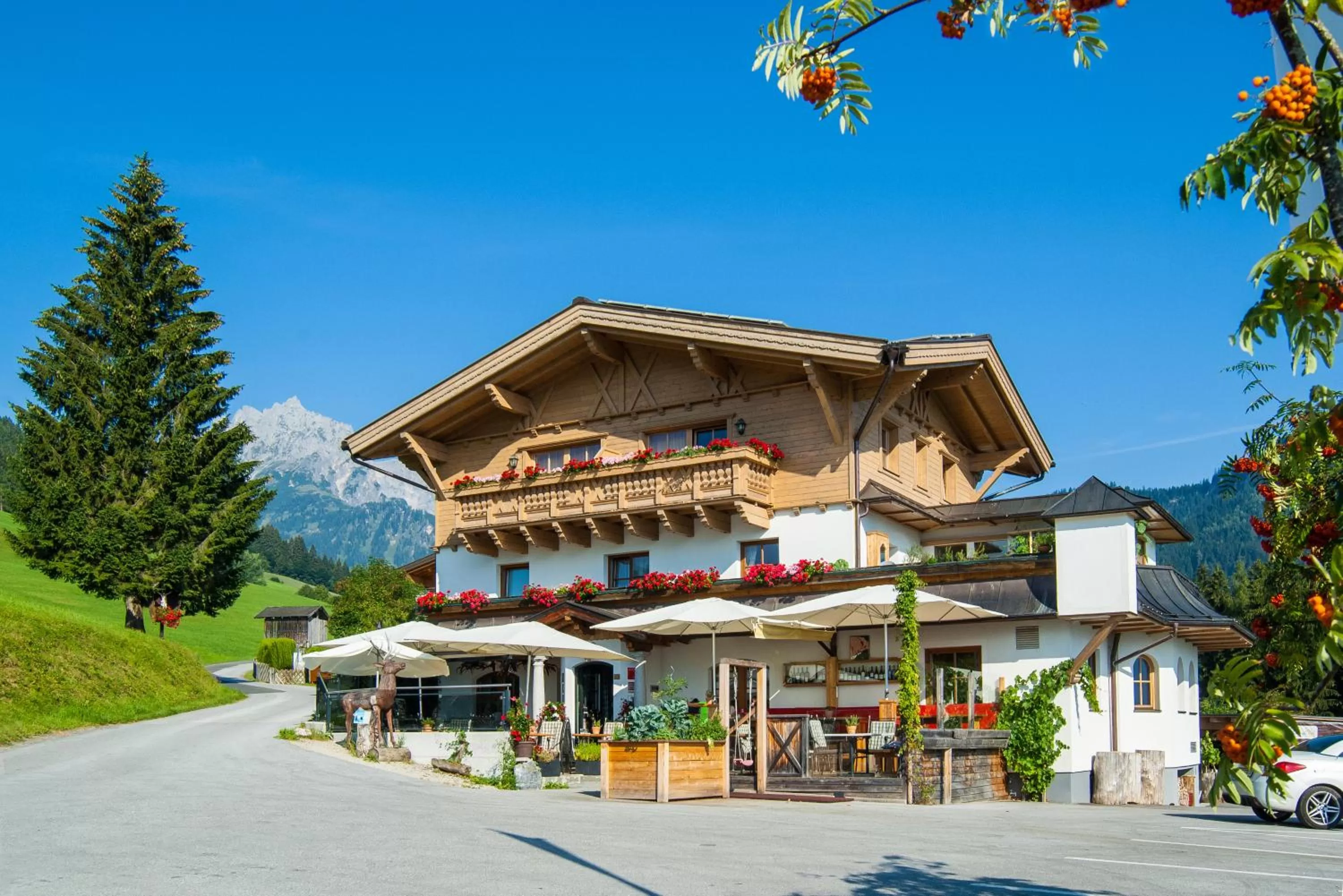 Hotel und Alpen Apartments mit Sauna - Bürglhöh