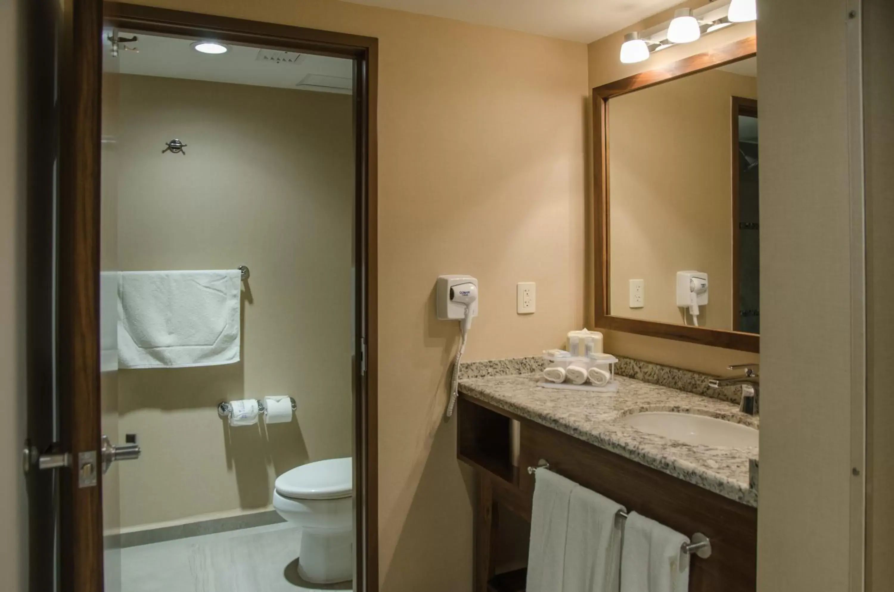 Bathroom in Holiday Inn Express and Suites Celaya, an IHG Hotel