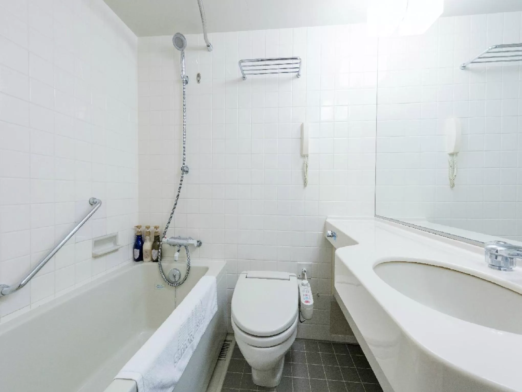 Photo of the whole room in HOTEL MYSTAYS Sapporo Aspen