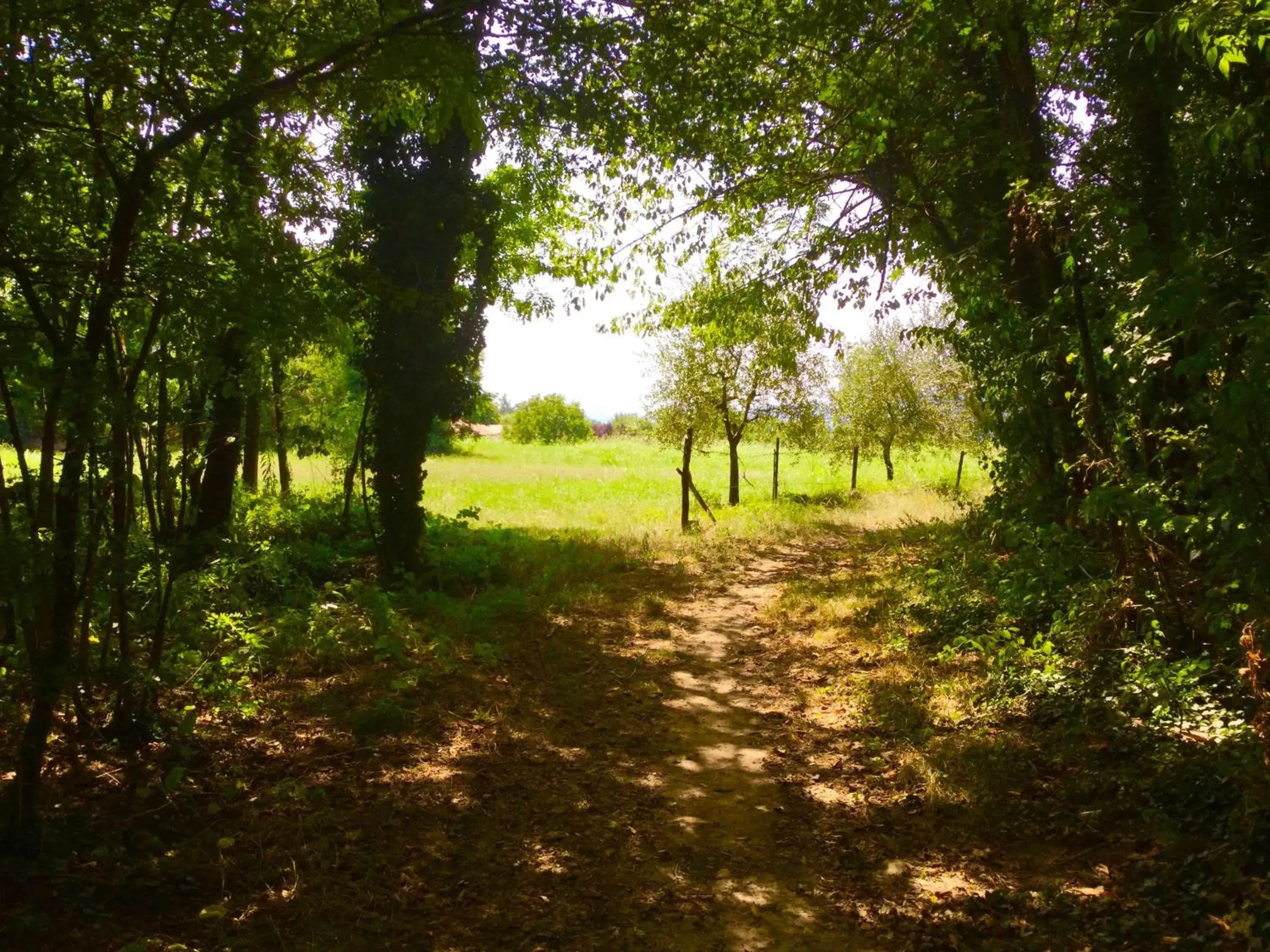 Property building, Garden in B&B CORTE SANT'ANGELO