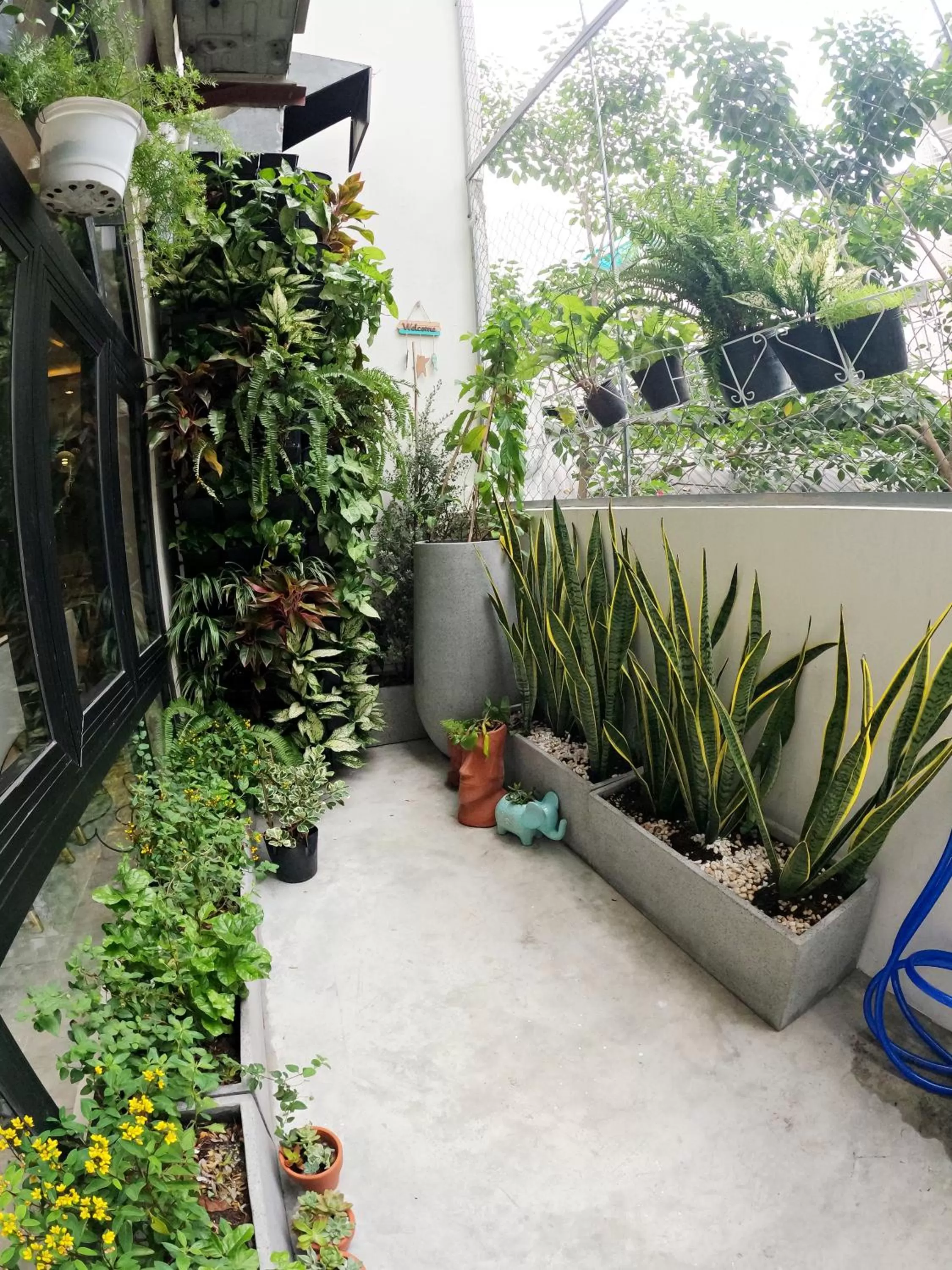 Garden in Dinh Phat Hotel