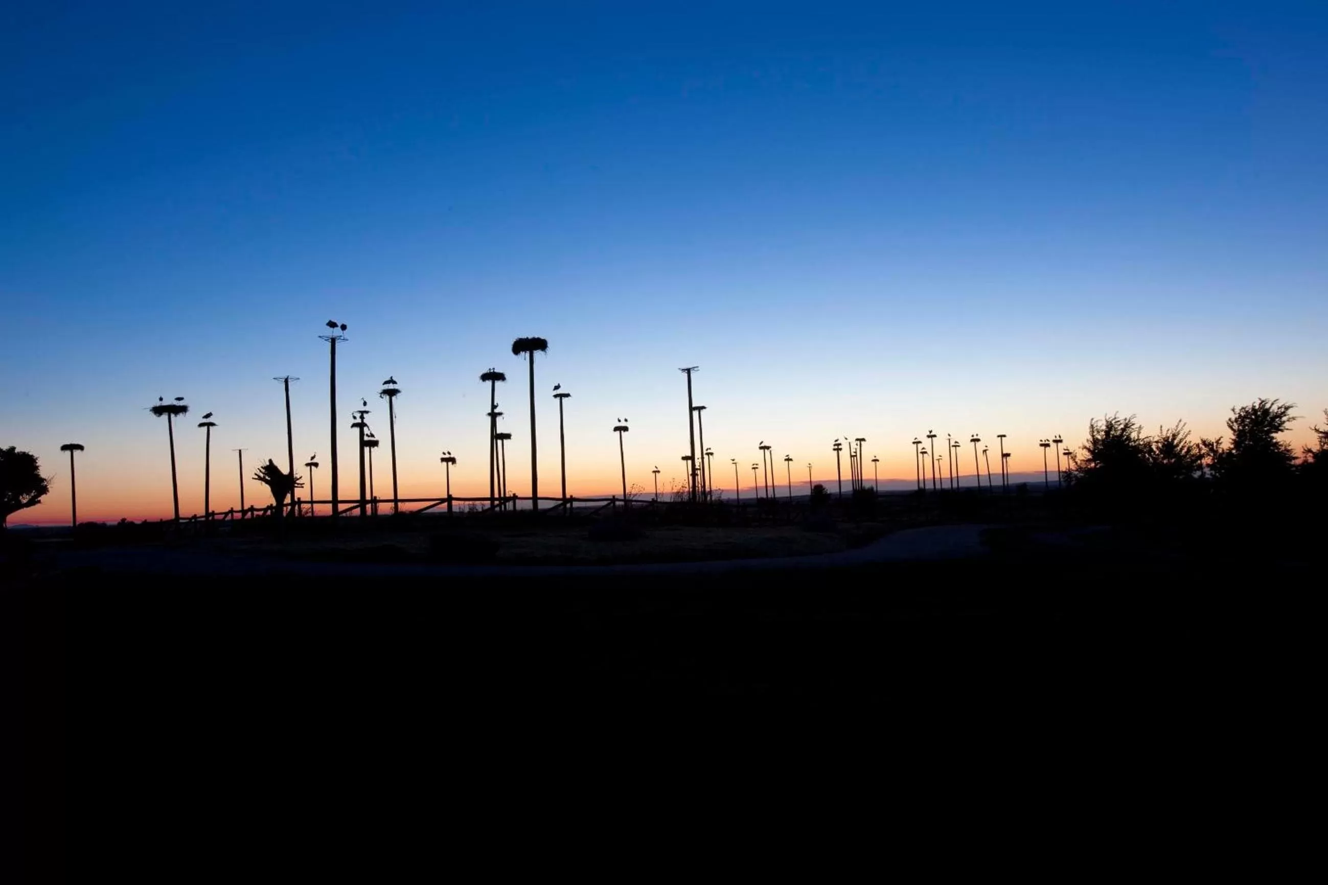 Facade/entrance in Hospes Palacio de Arenales & Spa