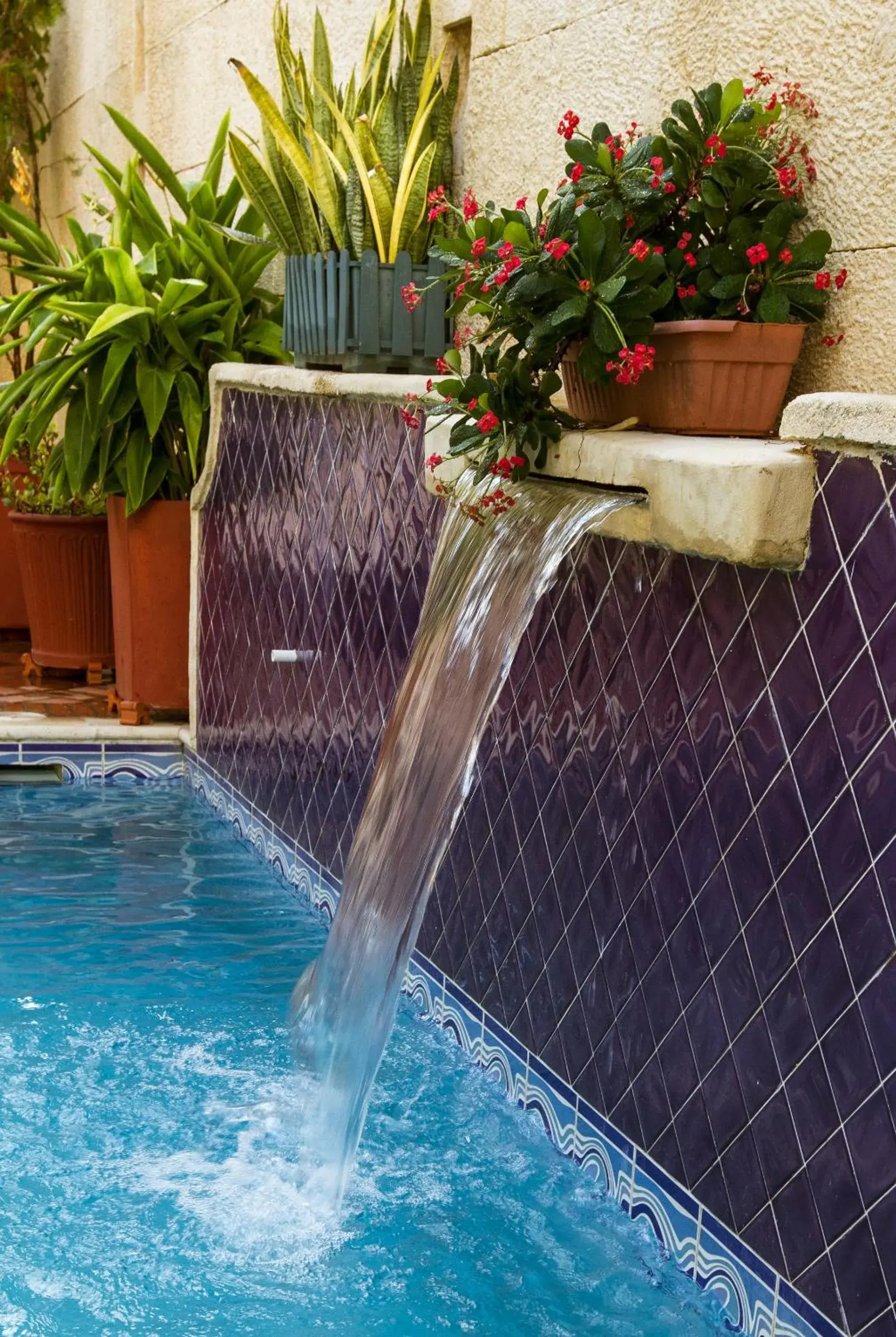 Decorative detail, Swimming Pool in Hotel Boutique Castillo Ines Maria