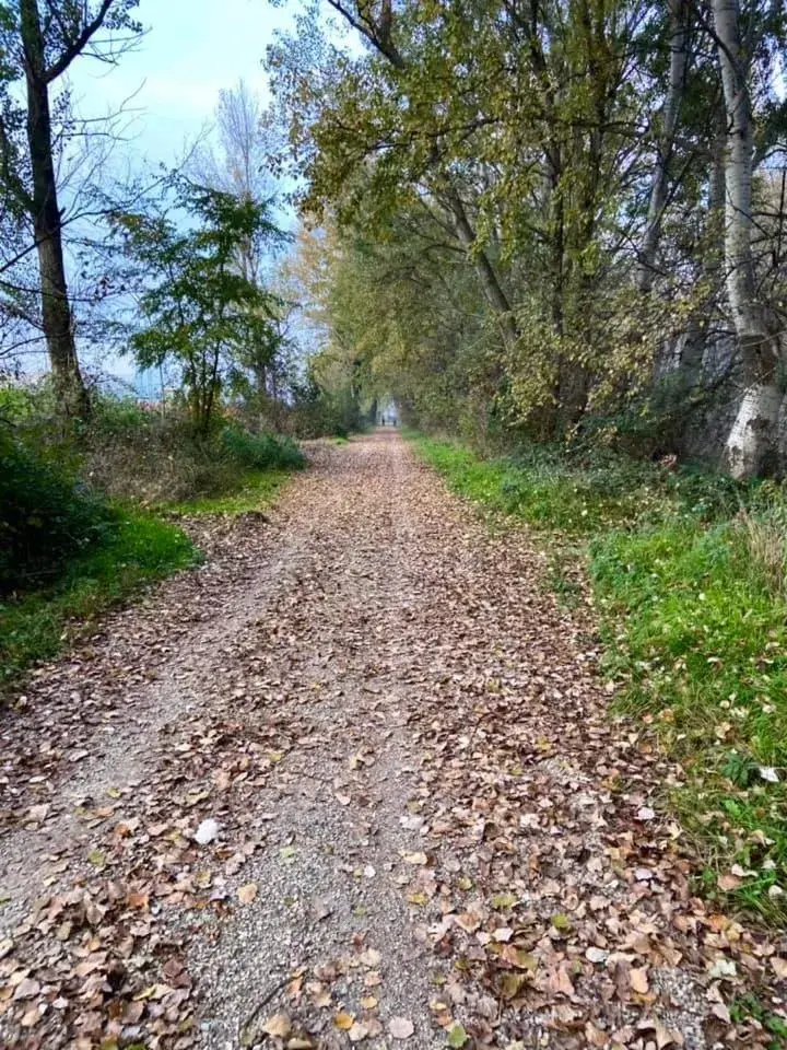 Cycling in Eurhotel