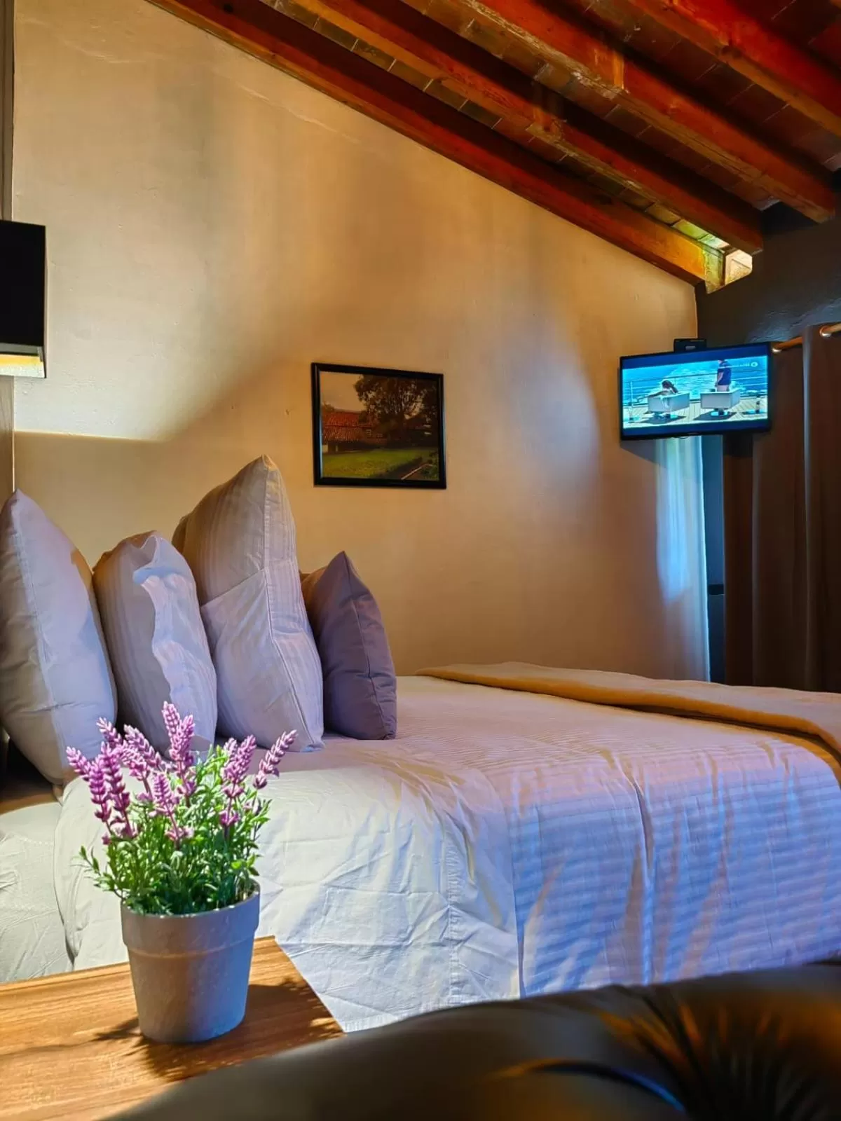 Bed in San José Del Valle