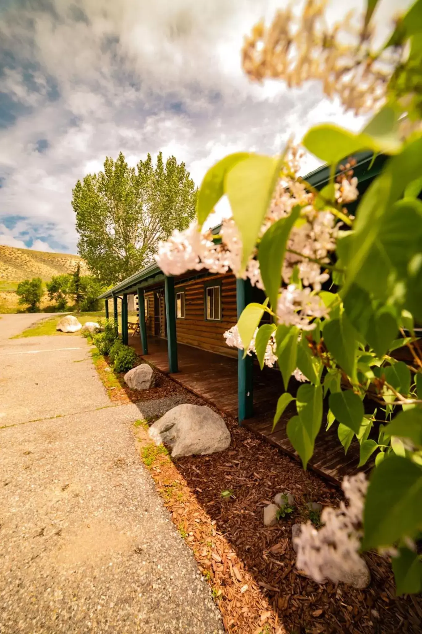 Property Building in Chinook Winds Lodge