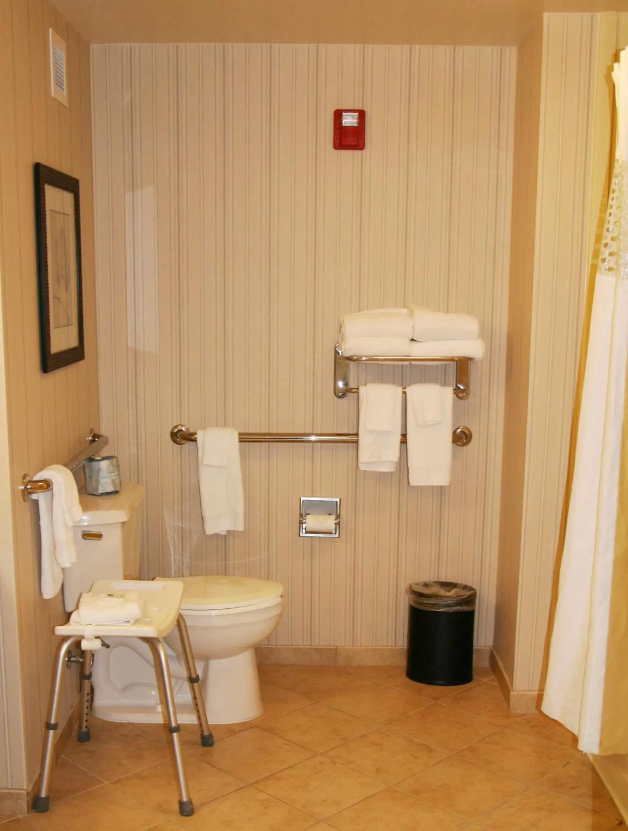 Bathroom in Hampton Inn & Suites Paducah