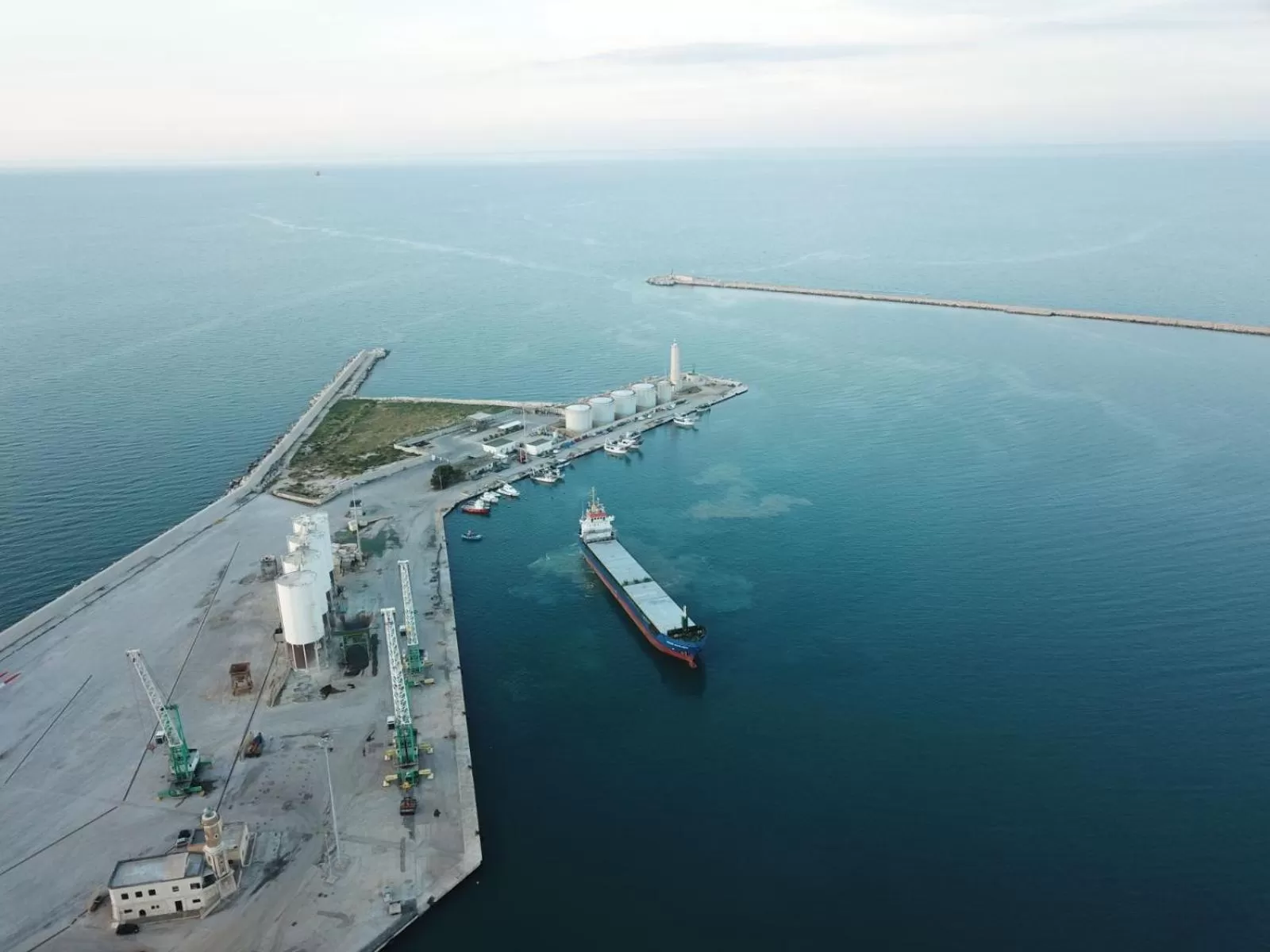 Other in b&b Tosches