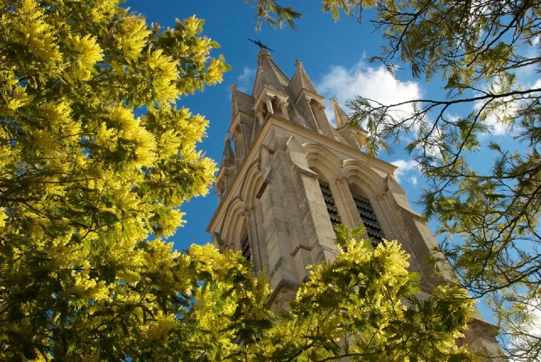 Nearby landmark, Property Building in Crowne Plaza Montpellier Corum, an IHG Hotel