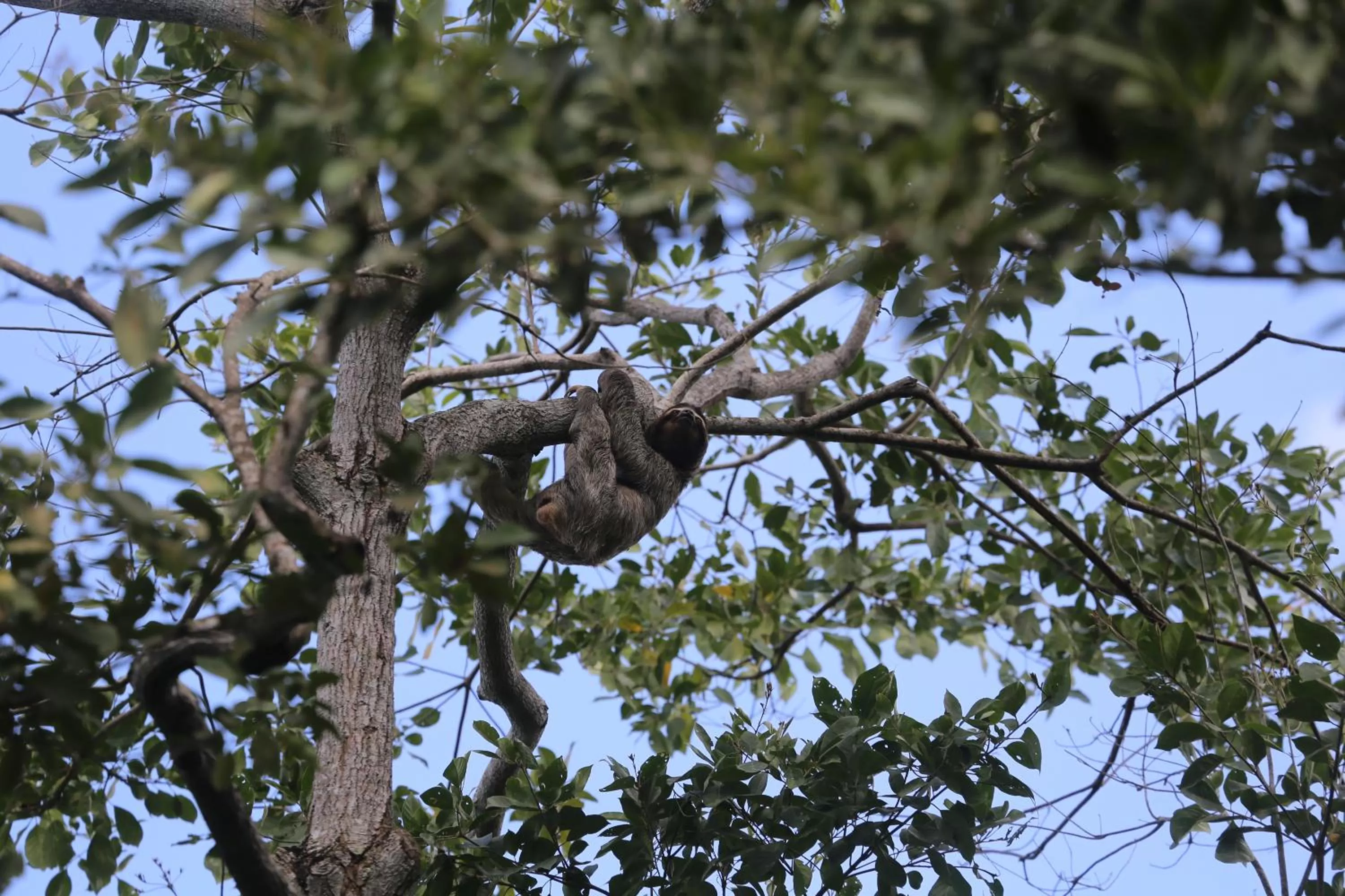 Property building in Albrook Inn