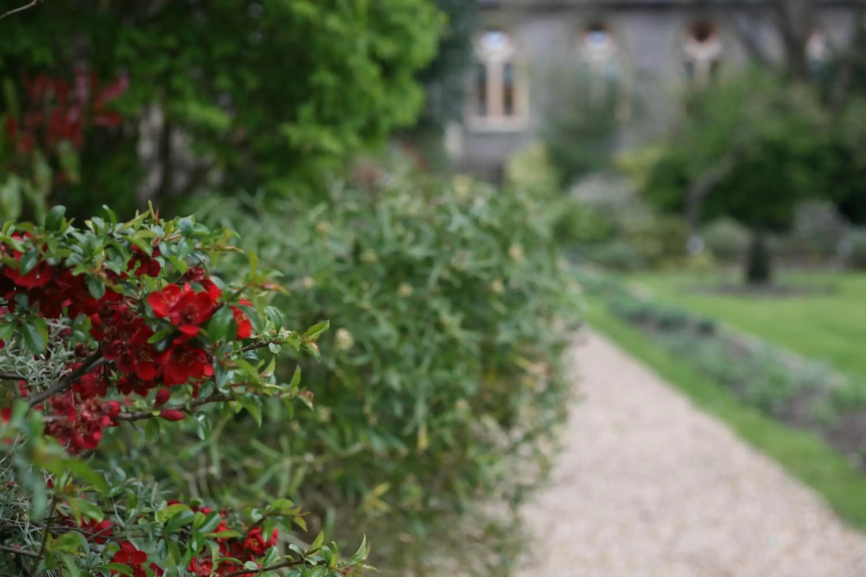 Garden in Winchester Royal Hotel