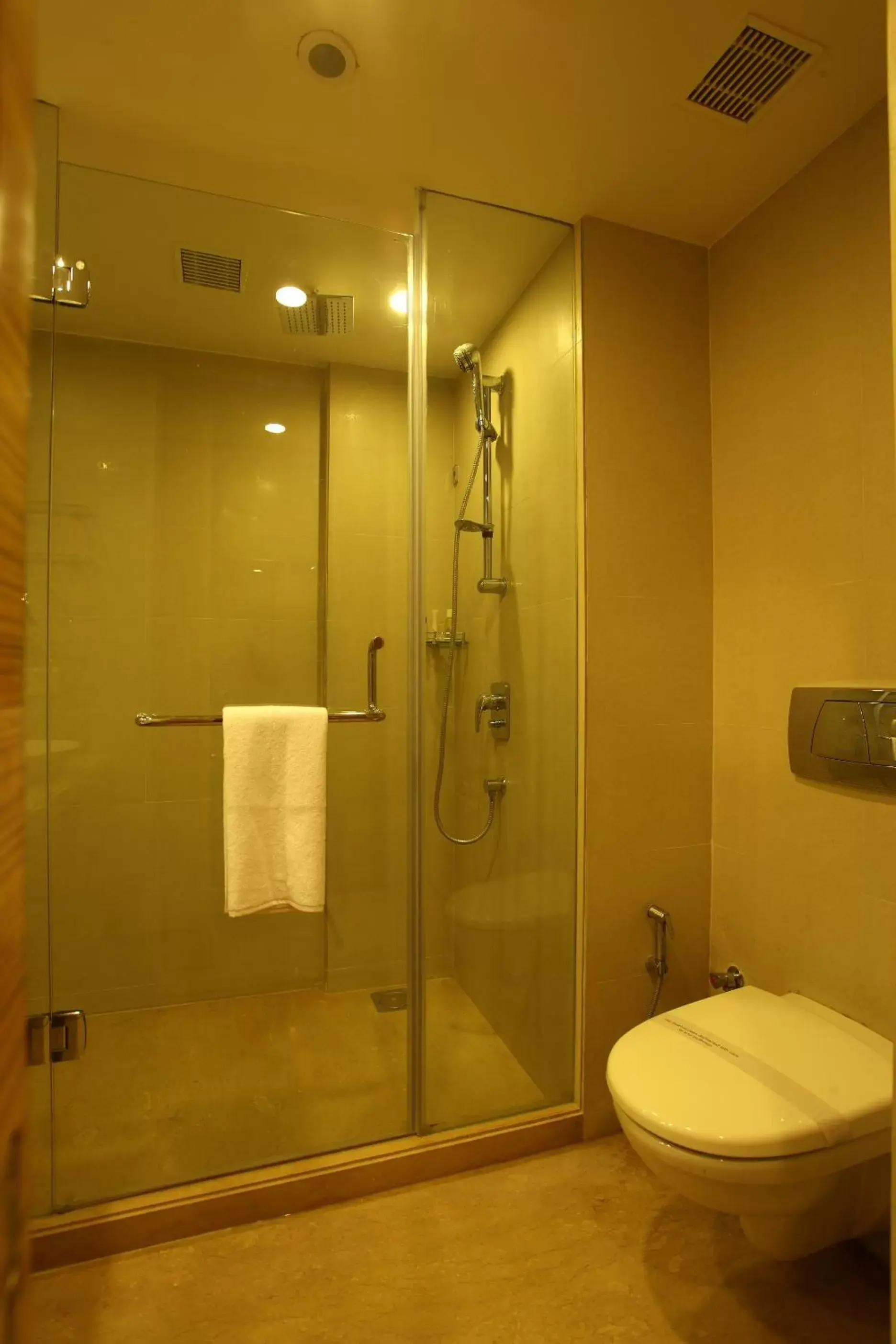 Shower, Bathroom in Comfort Inn Legacy