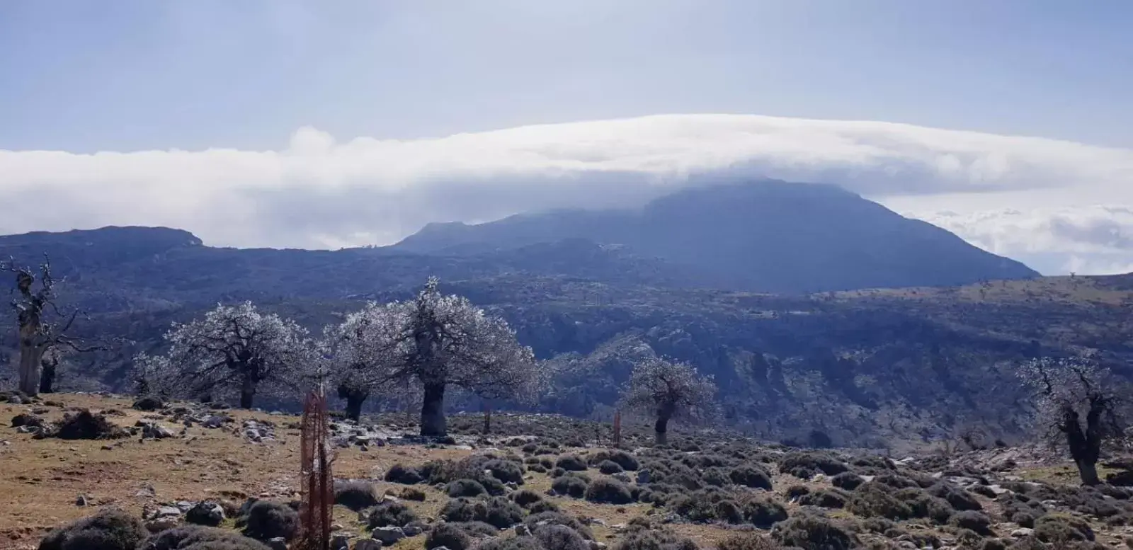 Mountain View in Hotel Sierra Hidalga