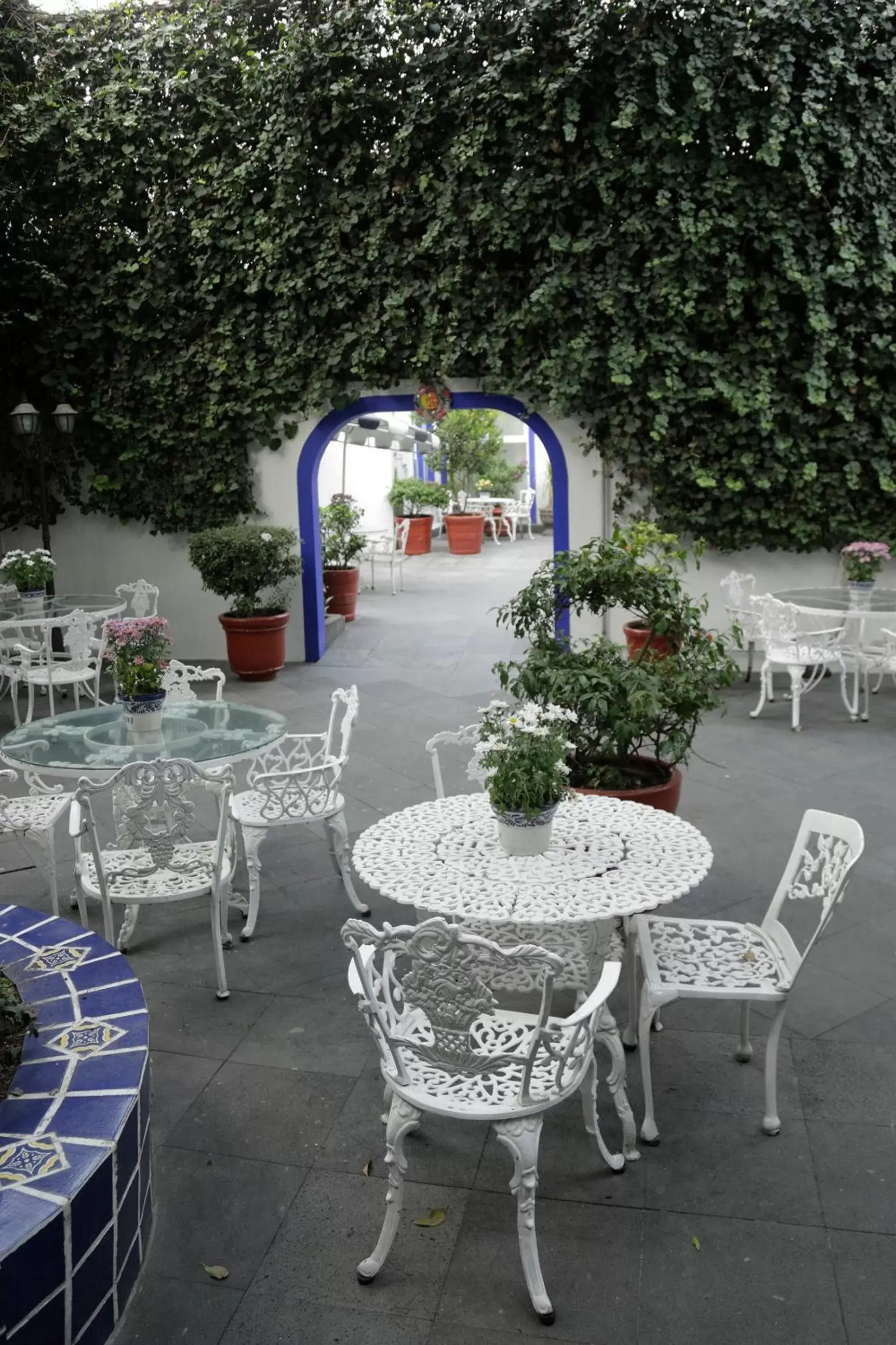 Garden, Restaurant/Places to Eat in Hotel Casa Gonzalez