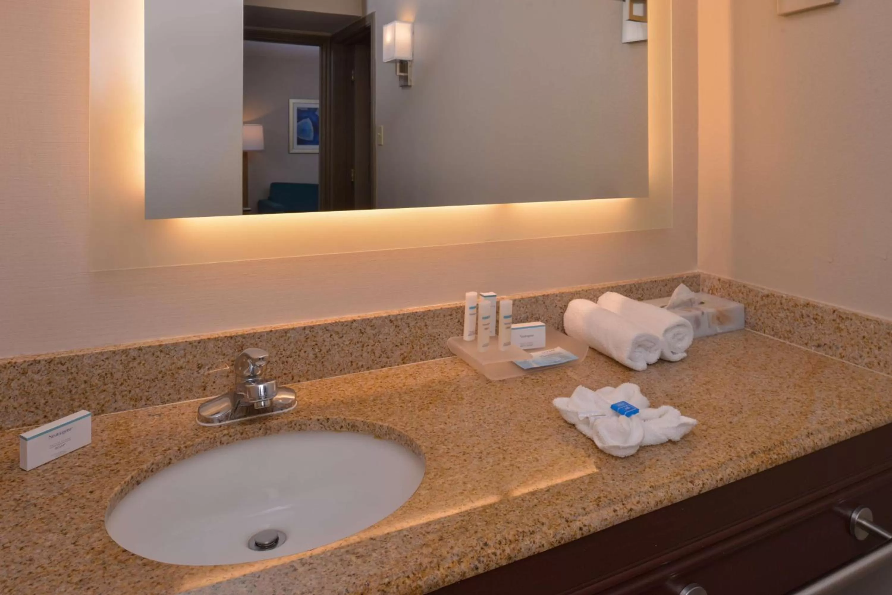 Bathroom in Homewood Suites by Hilton Dallas-Lewisville