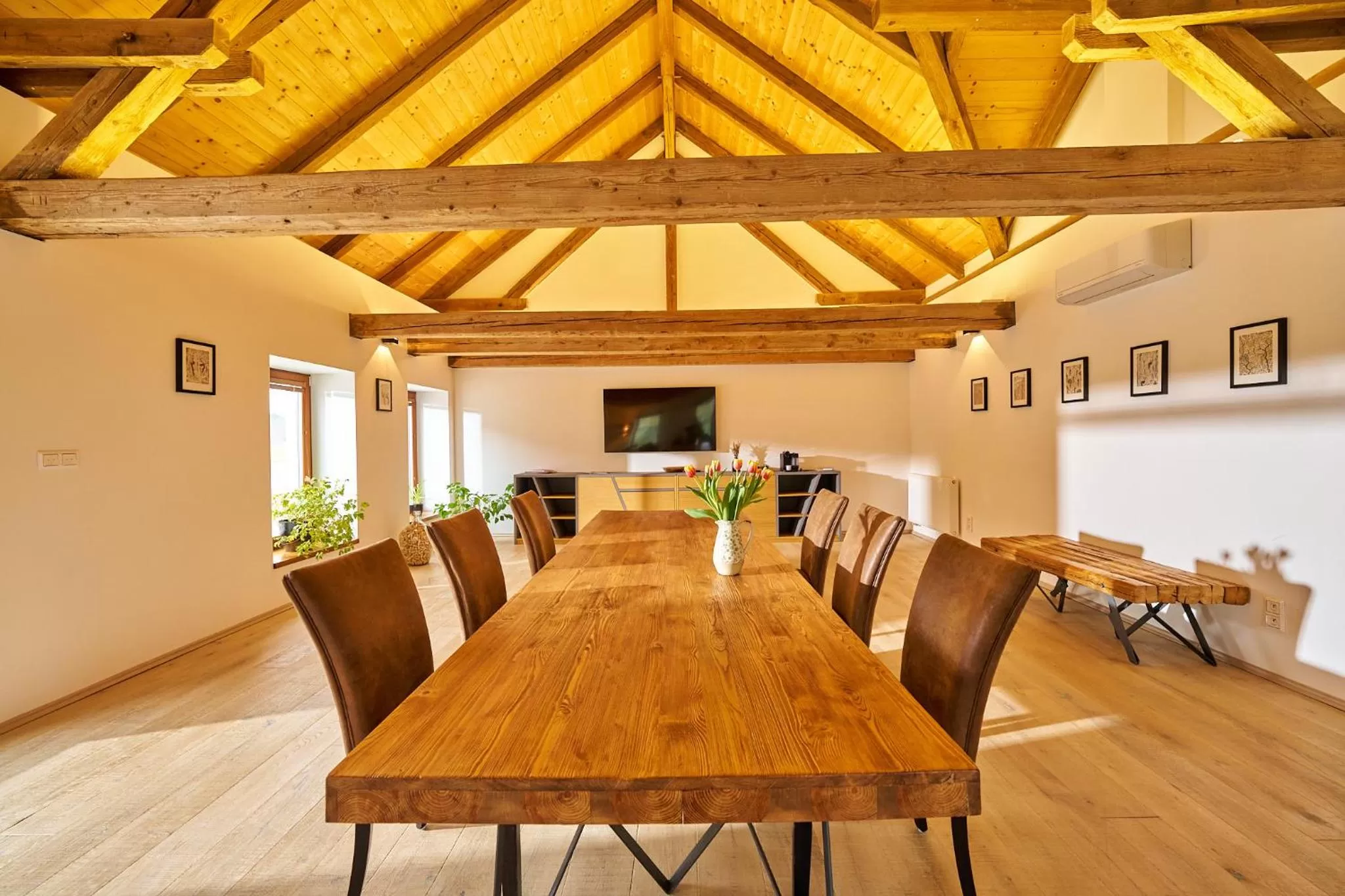 TV and multimedia in Hotel Ryzlink