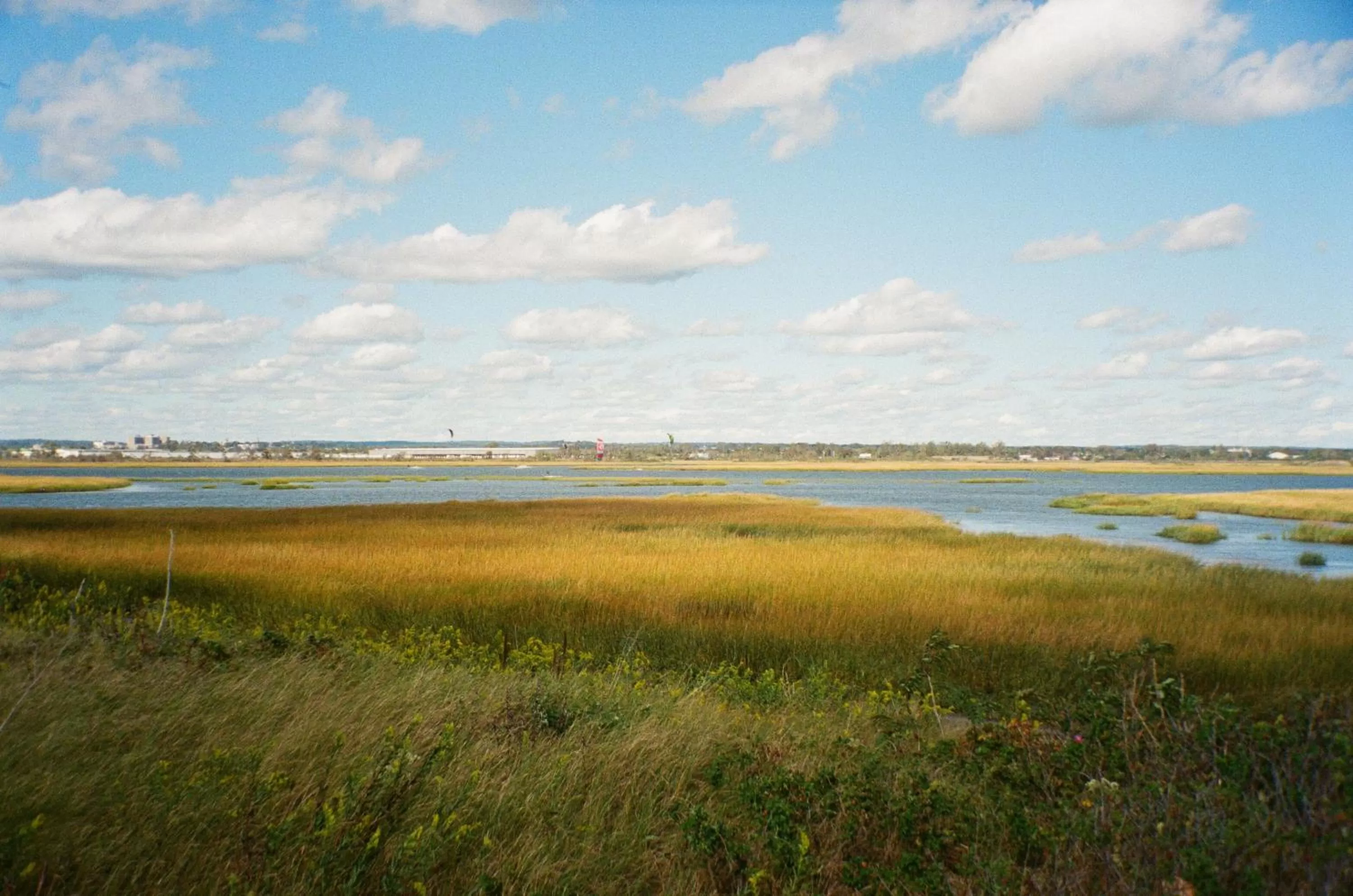 Natural landscape in The Surfside Hotel