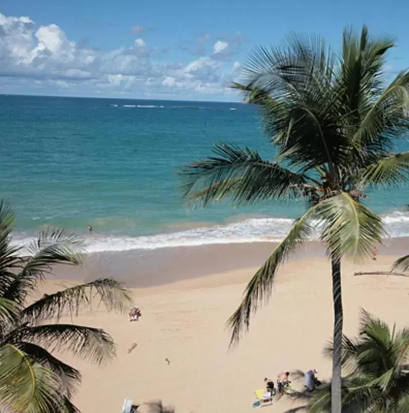 Beach in The Tryst Beachfront Hotel