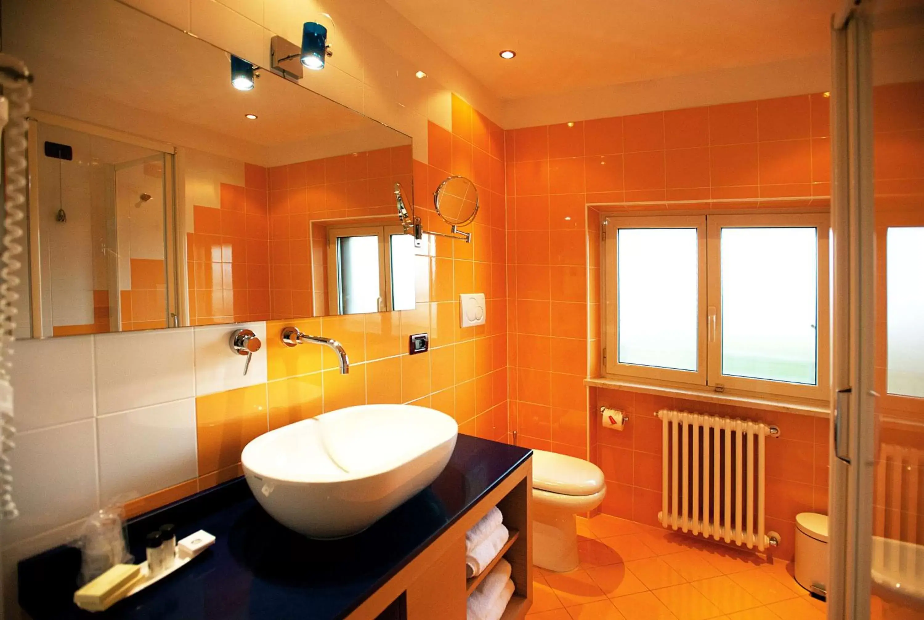 Shower, Bathroom in Best Western Hotel Piemontese