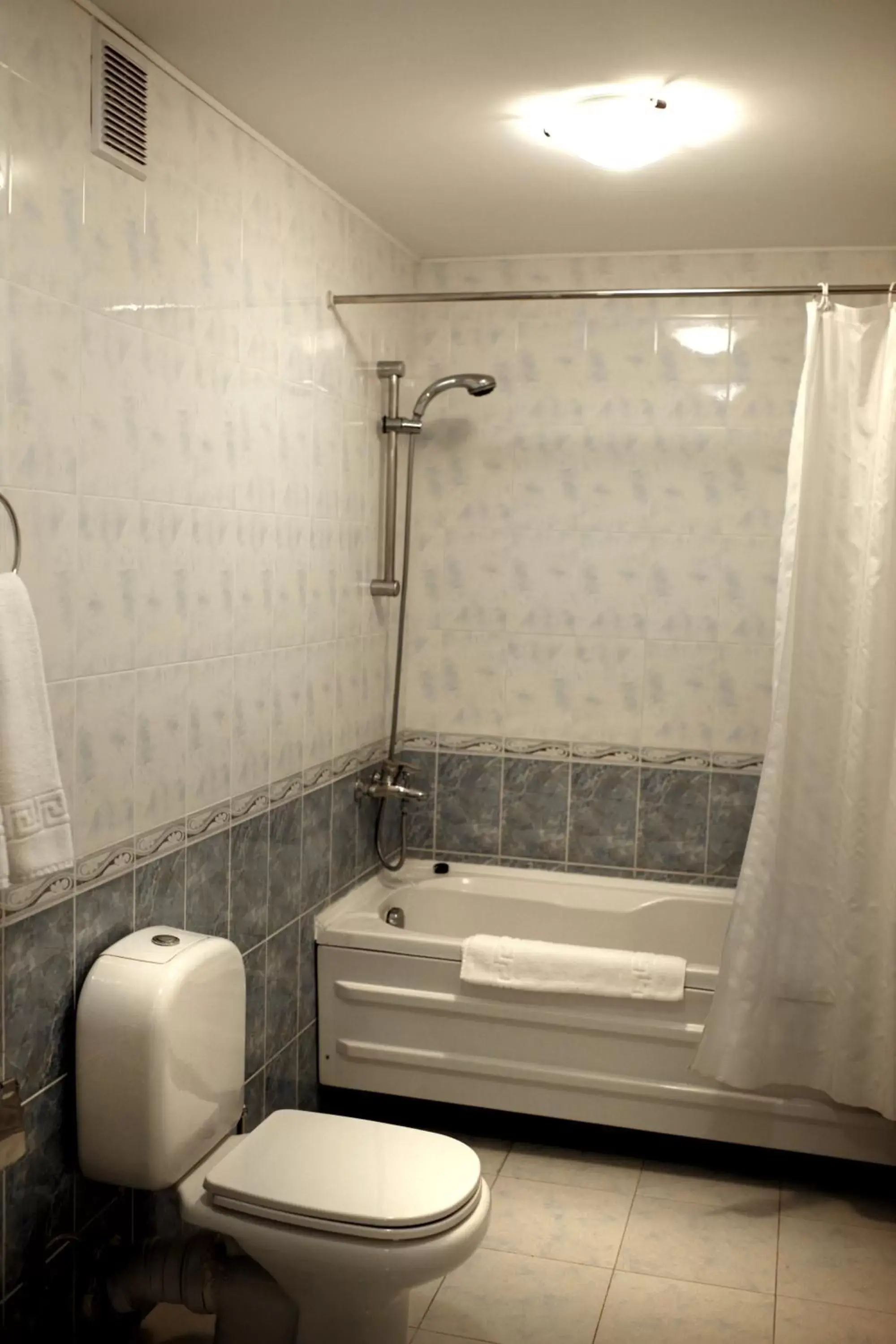 Bathroom in Ani Plaza Hotel