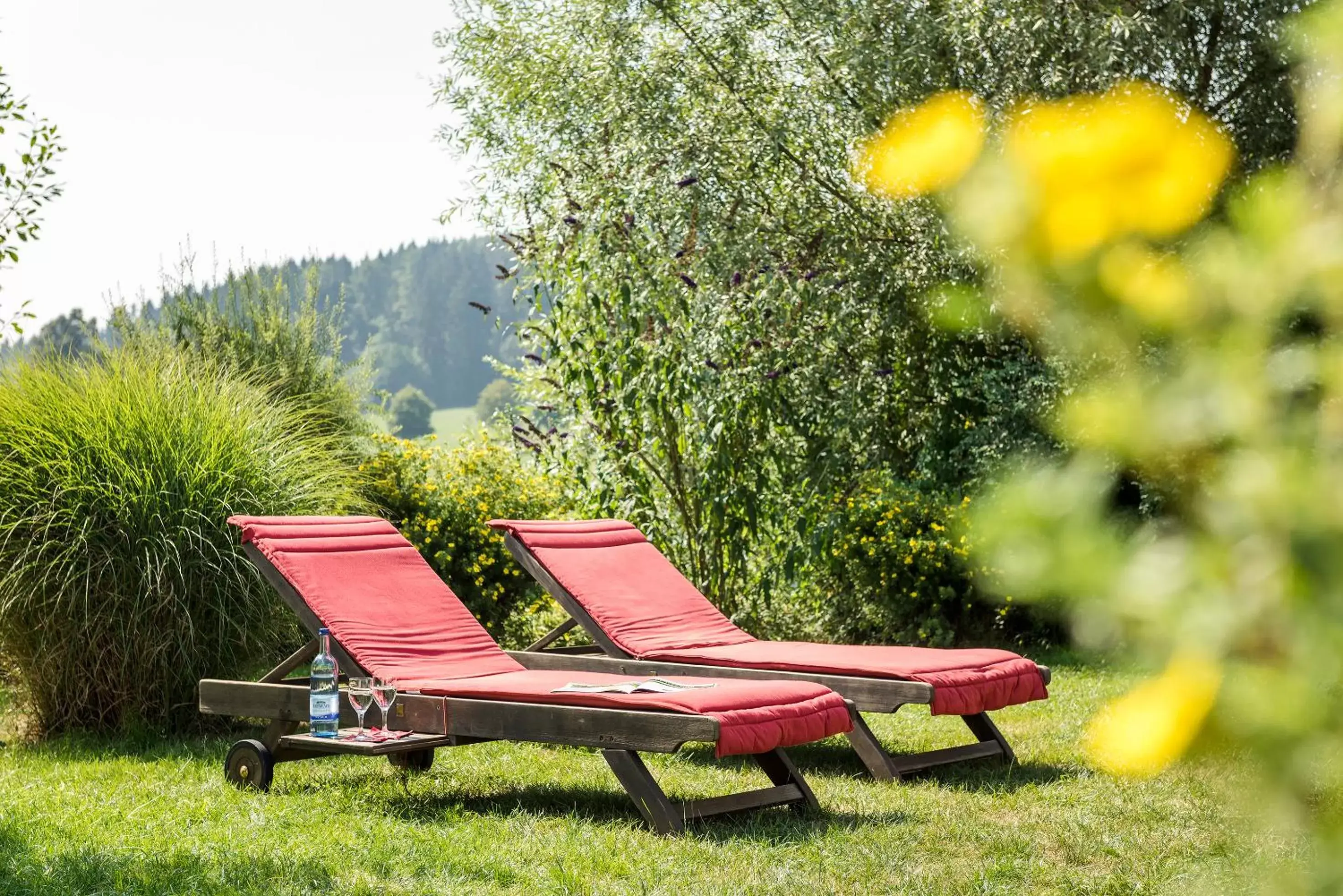 Summer, Garden in Best Western Plus Parkhotel Maximilian Ottobeuren