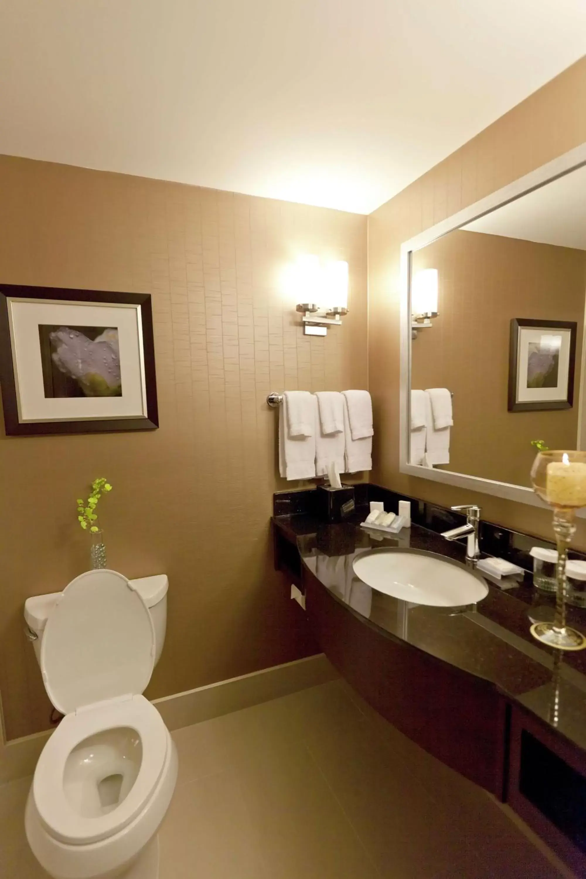 Bathroom in Hilton Garden Inn Toronto/Brampton