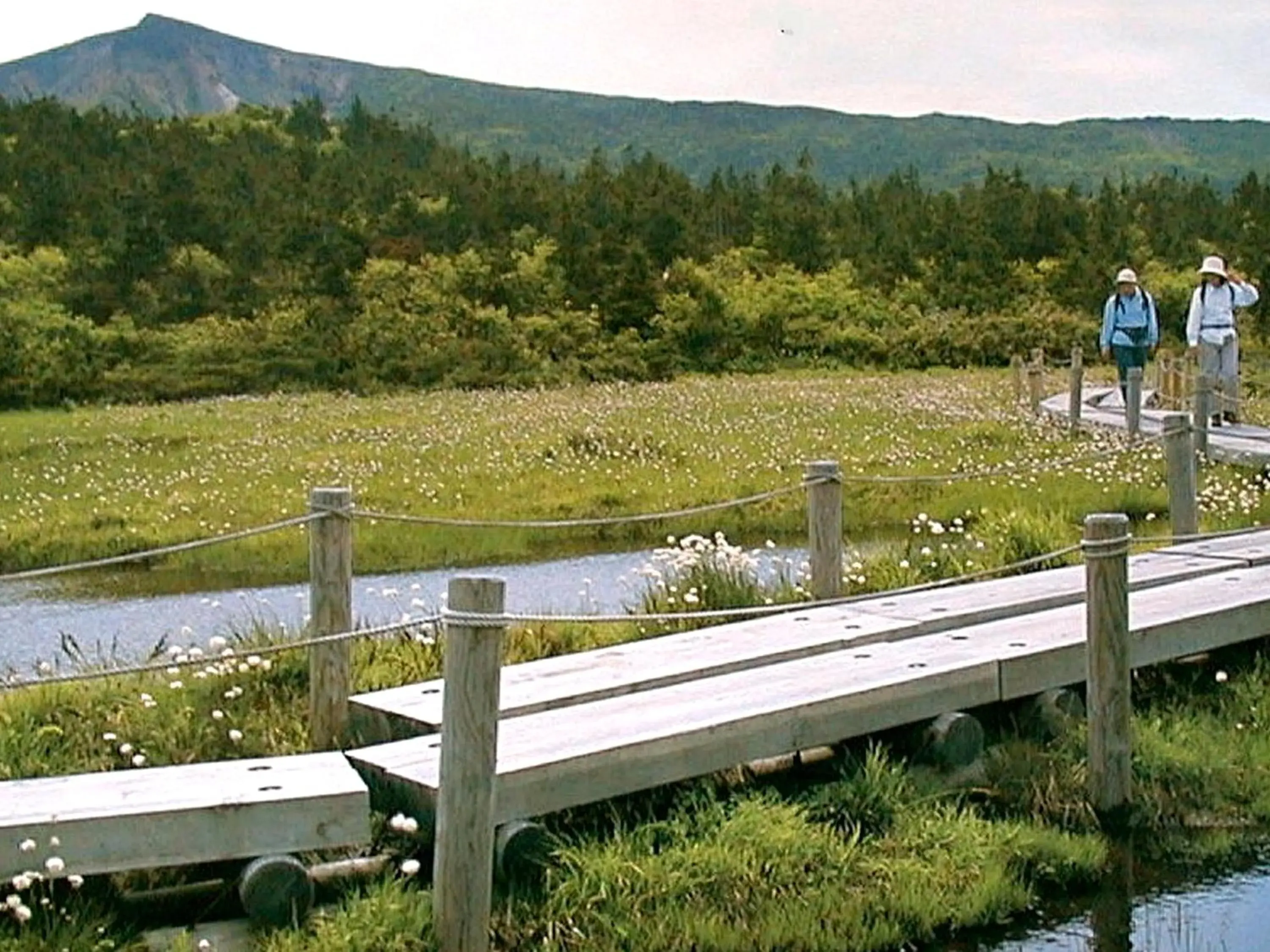 Nearby landmark, Garden View in Zao Kokusai Hotel