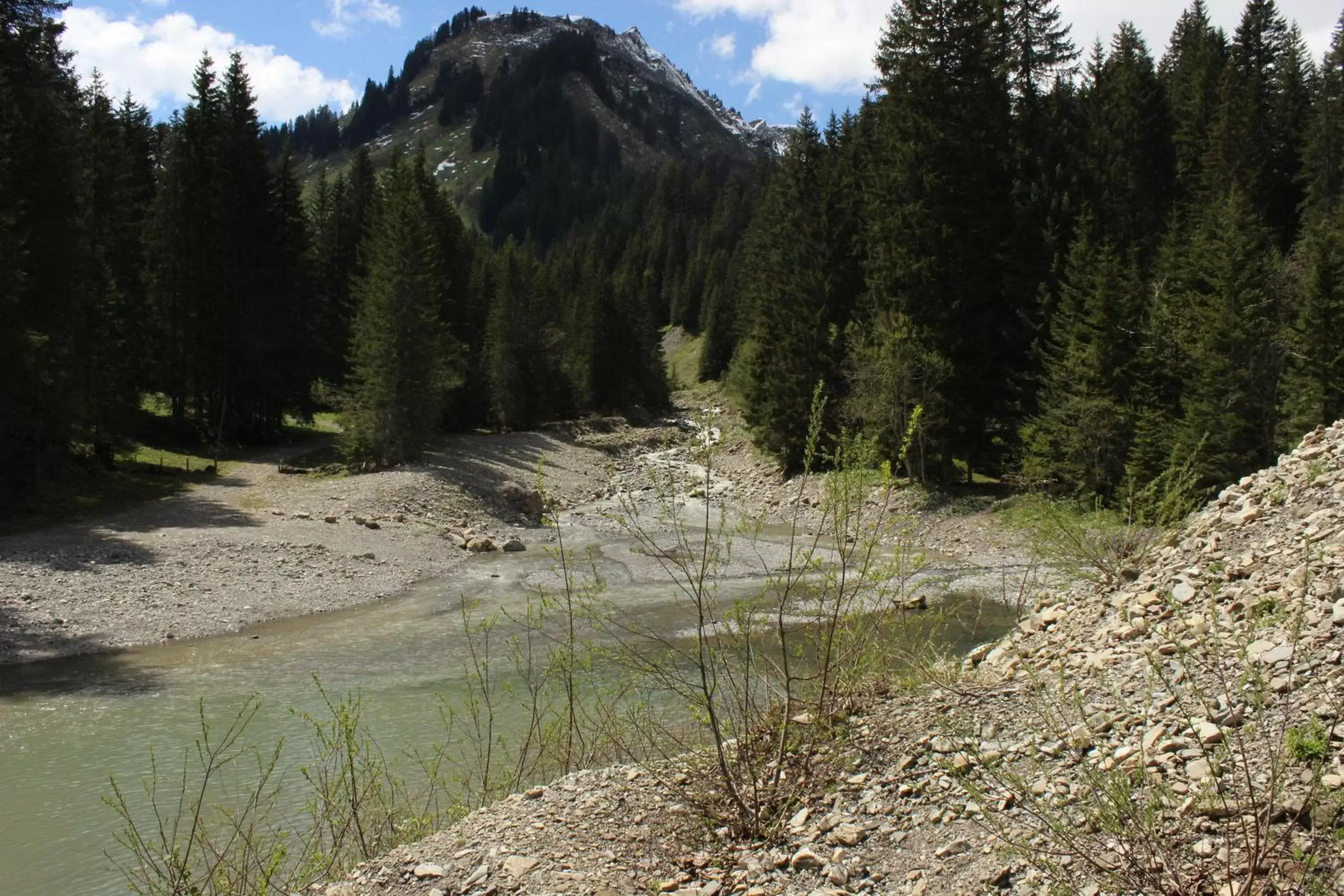 Area and facilities in Alpenhotel Widderstein