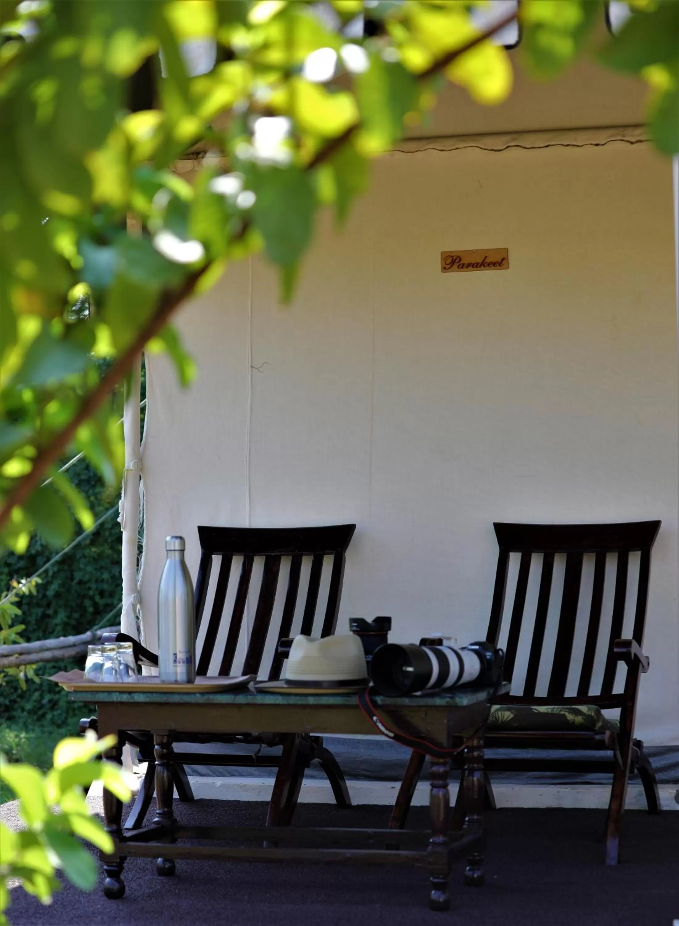 Seating Area in Camp Paridhi Ranthambhore, Homestay