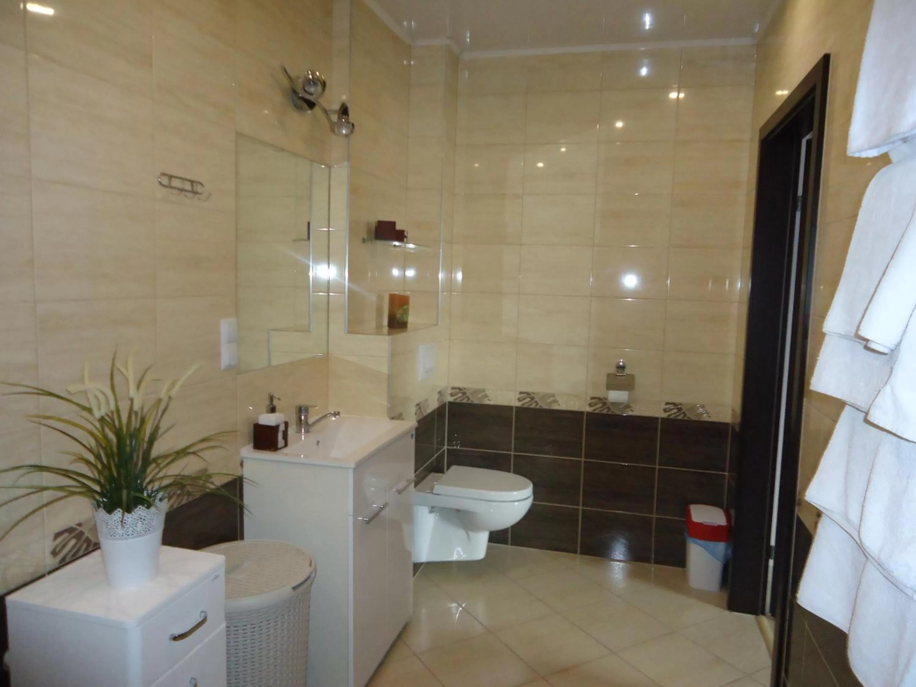 Toilet in Pokoje Bakos Radocza