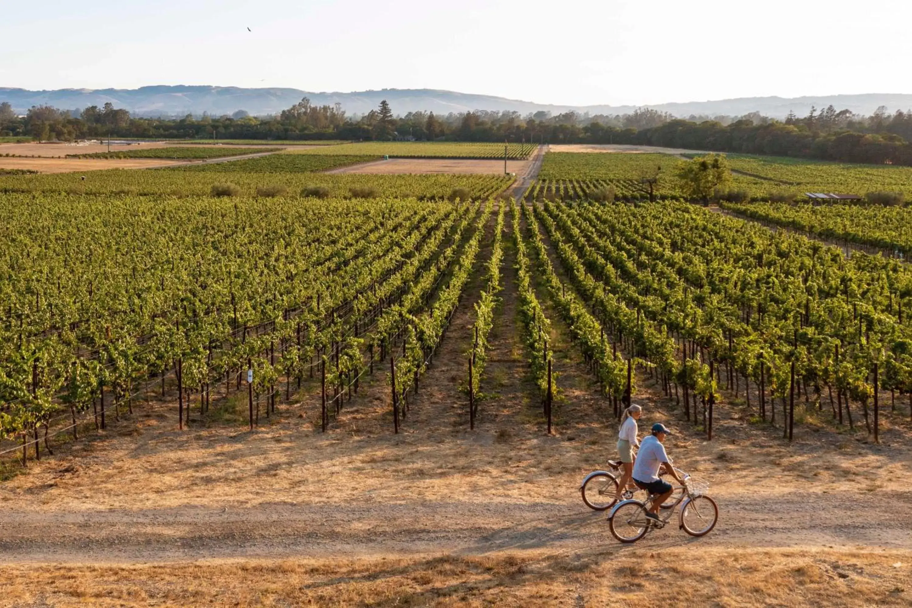 Other, Biking in The Lodge at Sonoma Resort, Autograph Collection