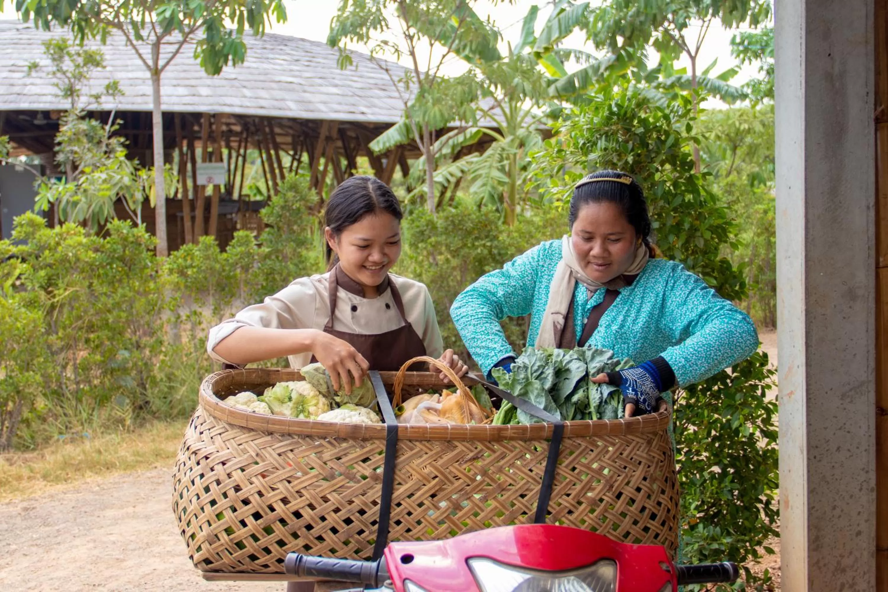 Hanchey Bamboo Resort