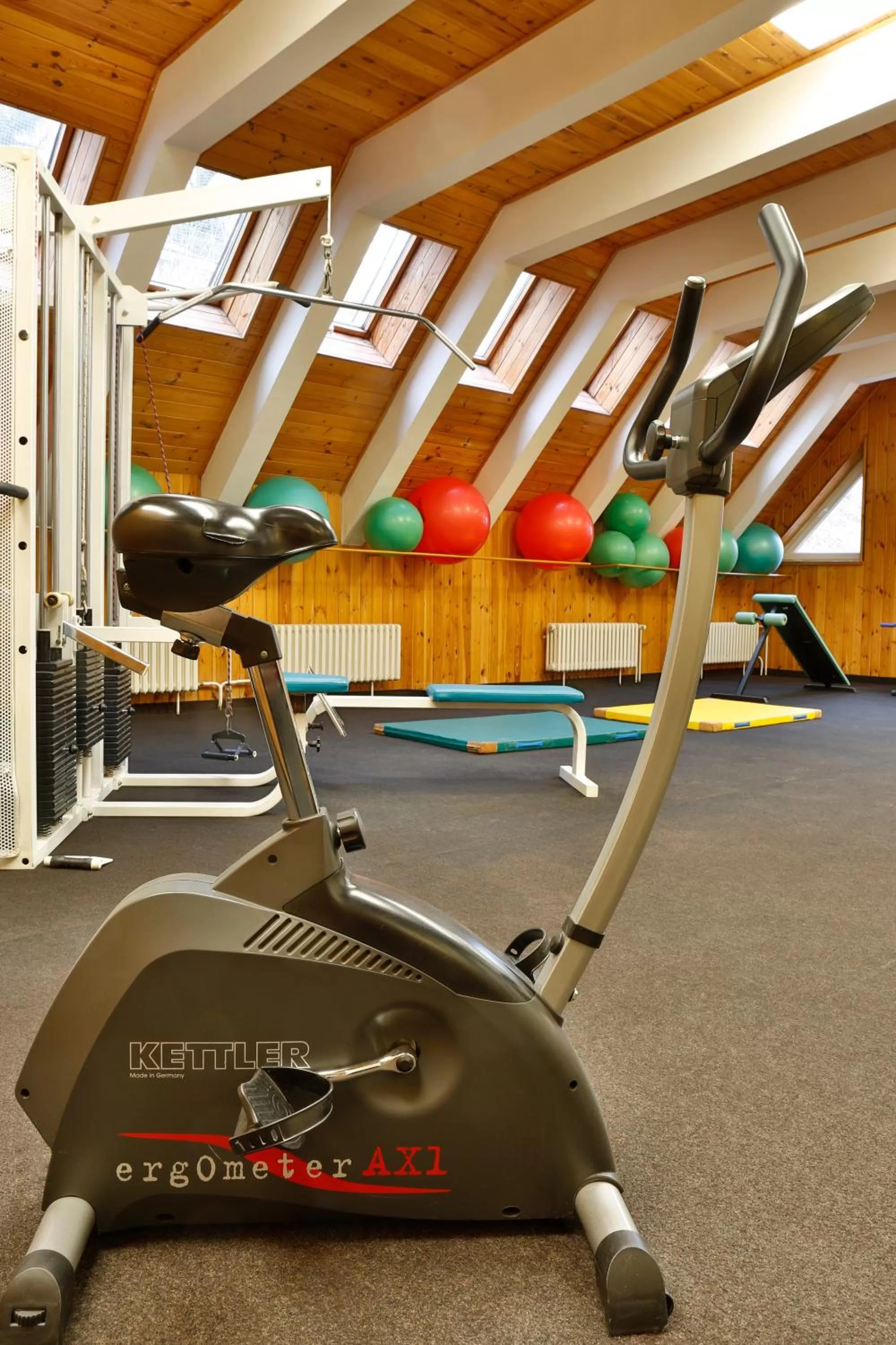 Fitness centre/facilities in Hotel Kolonada