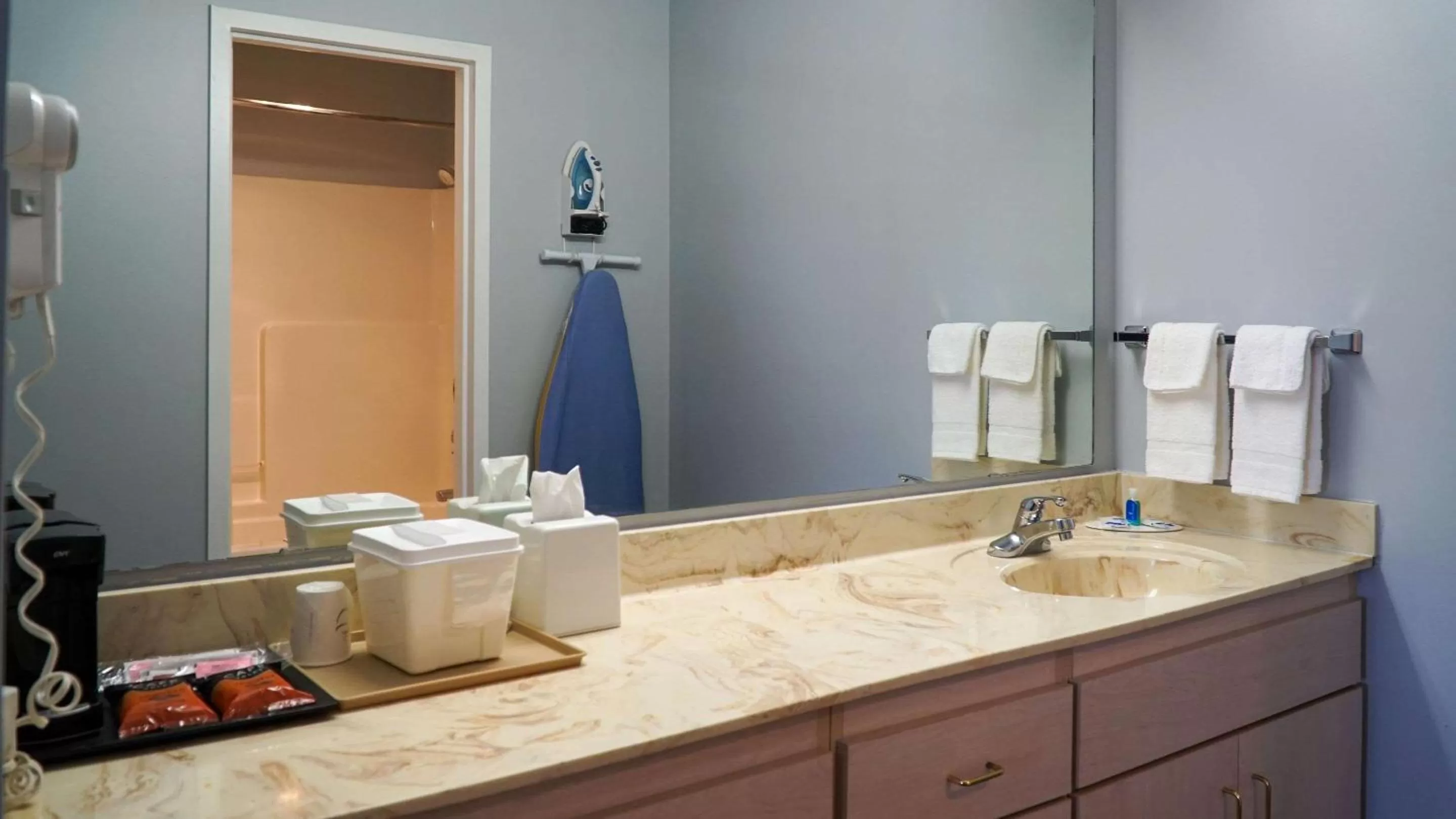 Bathroom in Rodeway Inn