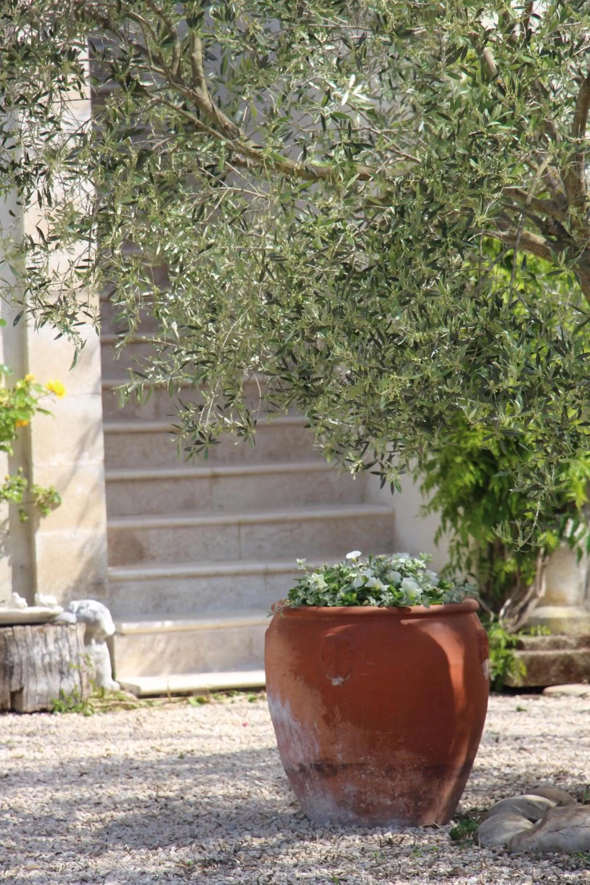 Decorative detail, Other Animals in Sous les Platanes B&B