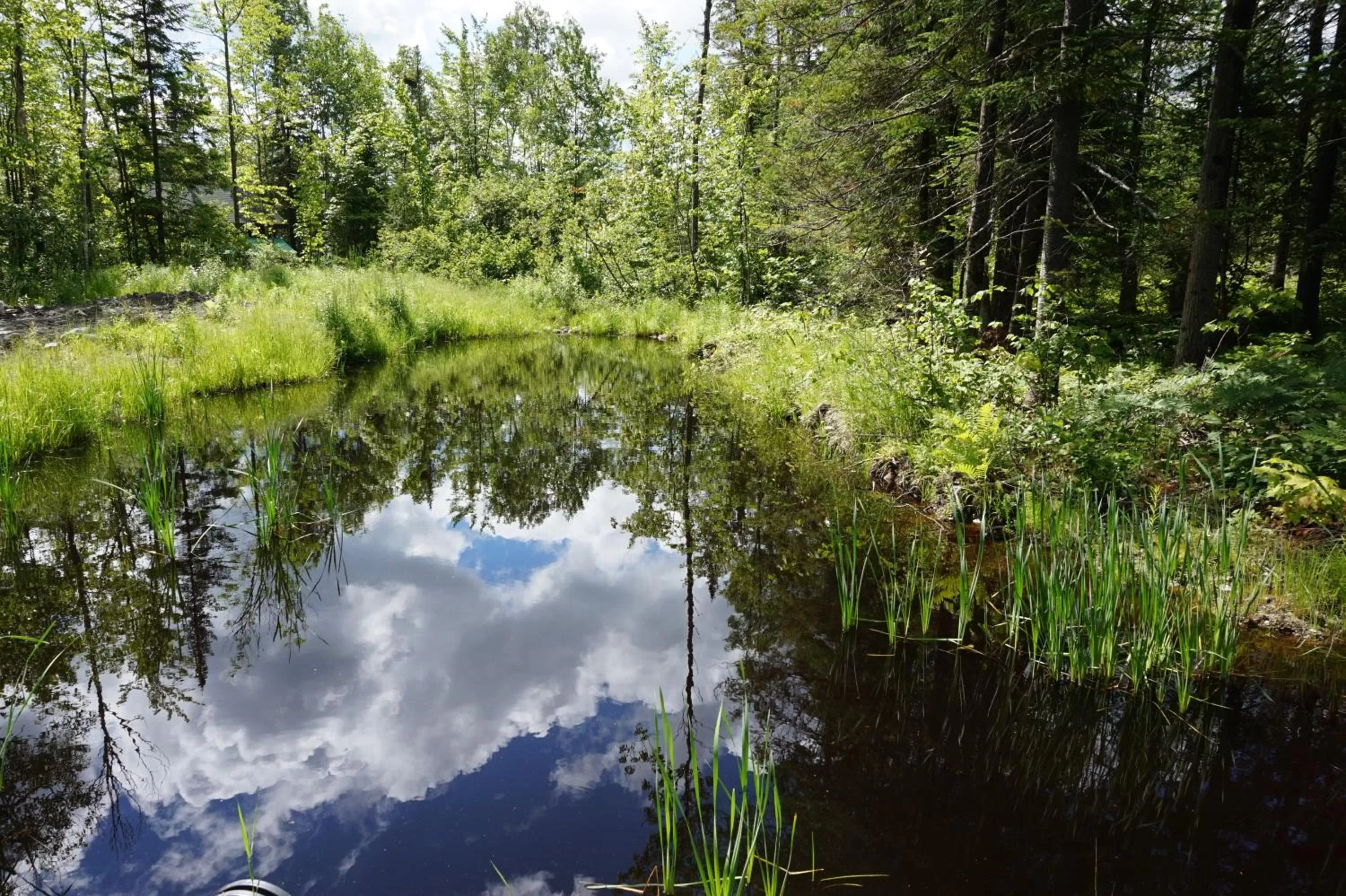 Natural landscape in Gite L'Antre d'Eux