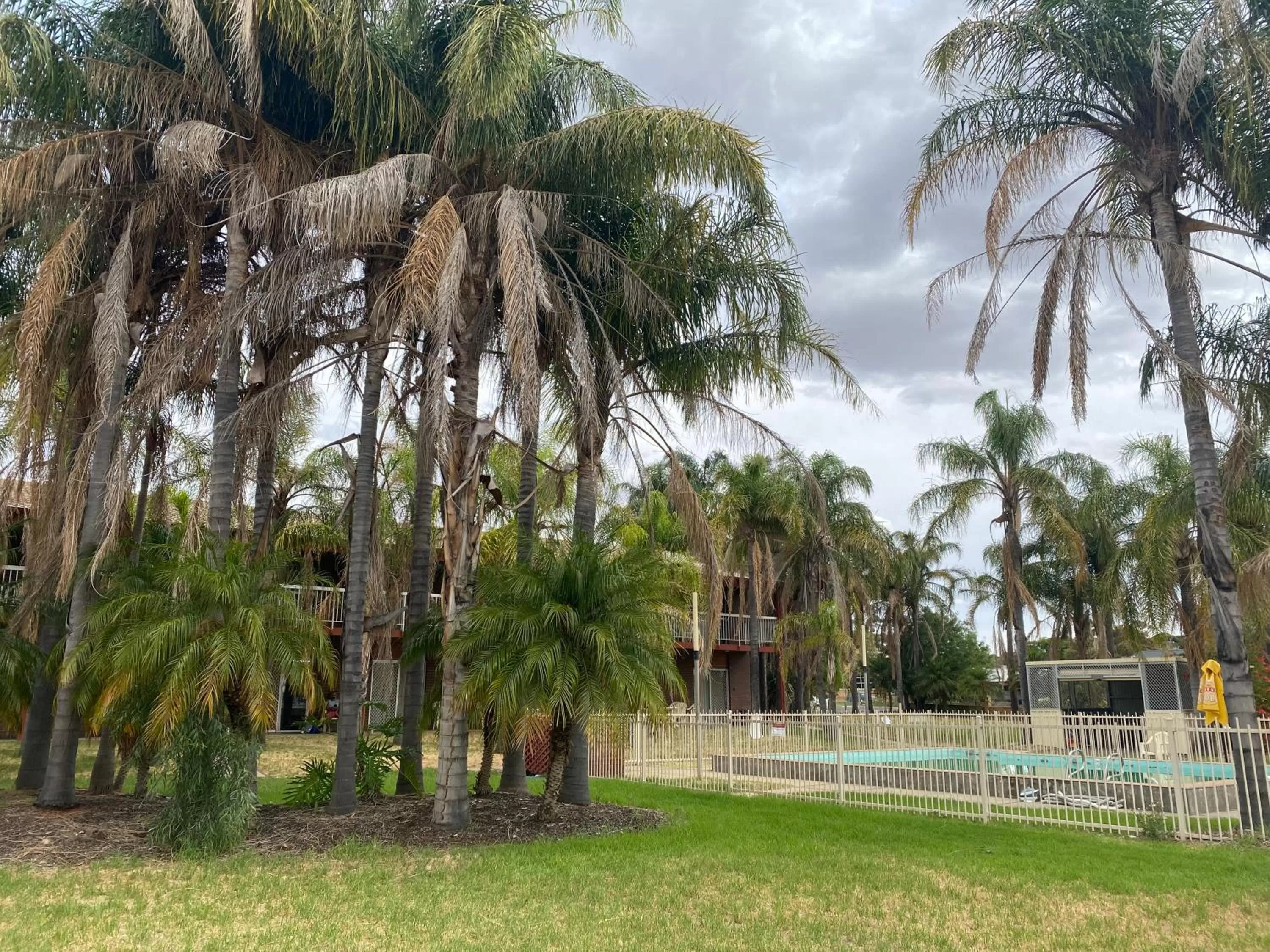 Swimming pool, Garden in Barmera Hotel Motel