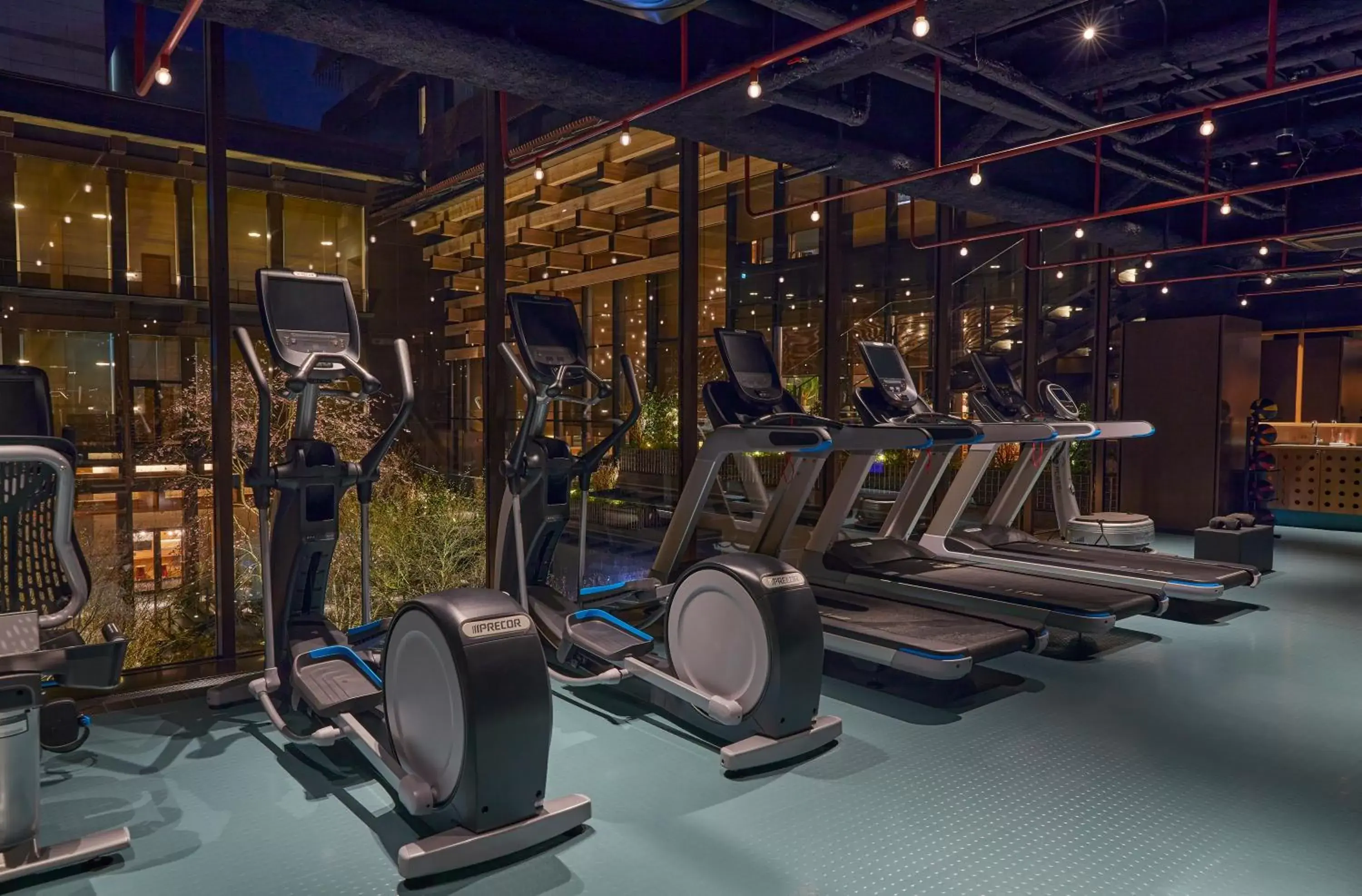 Fitness centre/facilities, Fitness Center/Facilities in Ace Hotel Kyoto