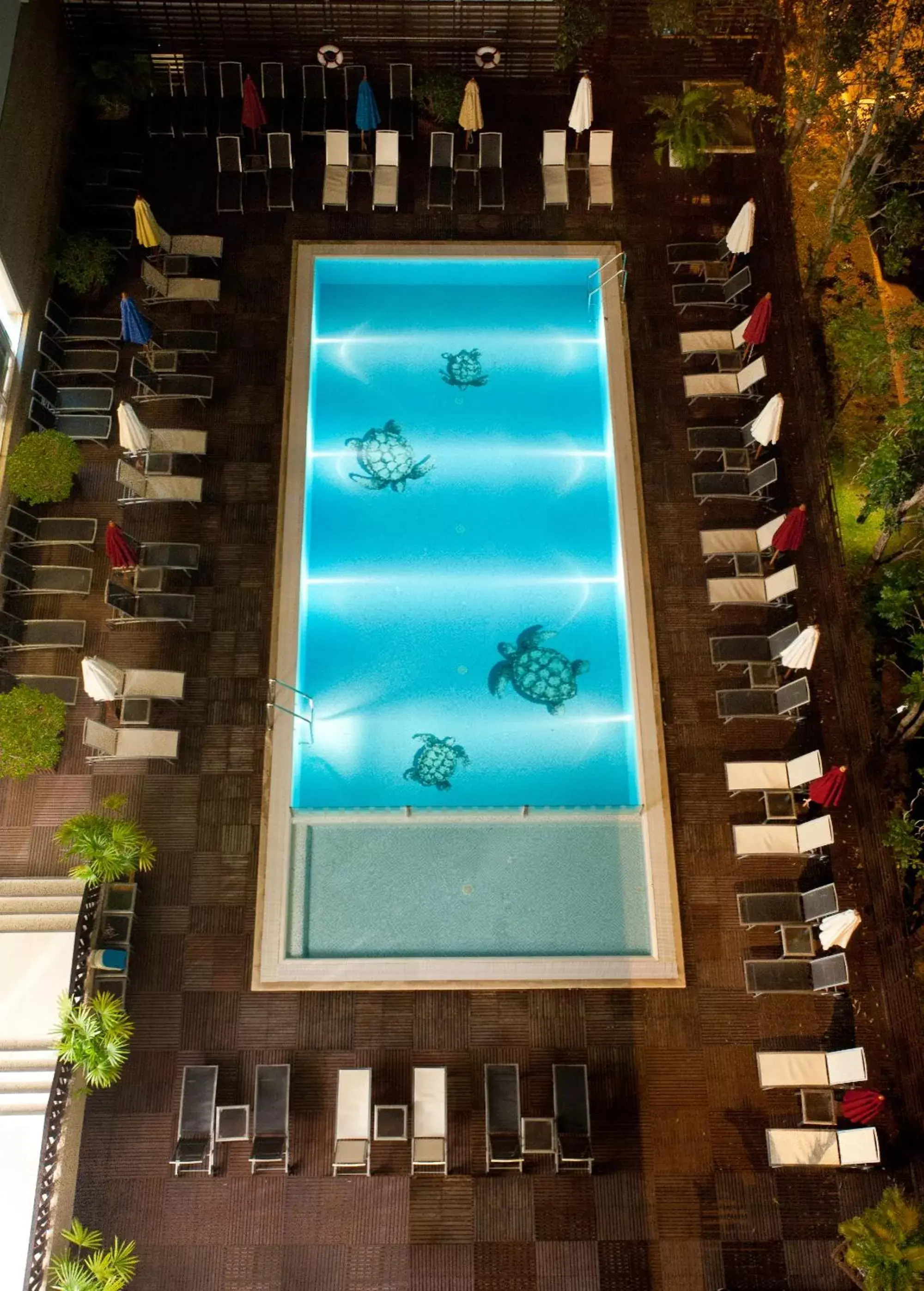 Swimming pool, Pool View in Ibis Pattaya