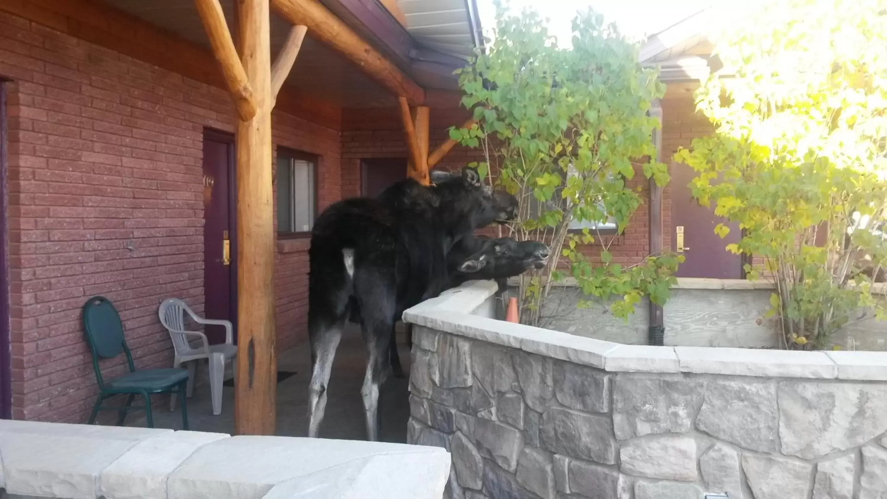 Nearby landmark in Sundance Motel