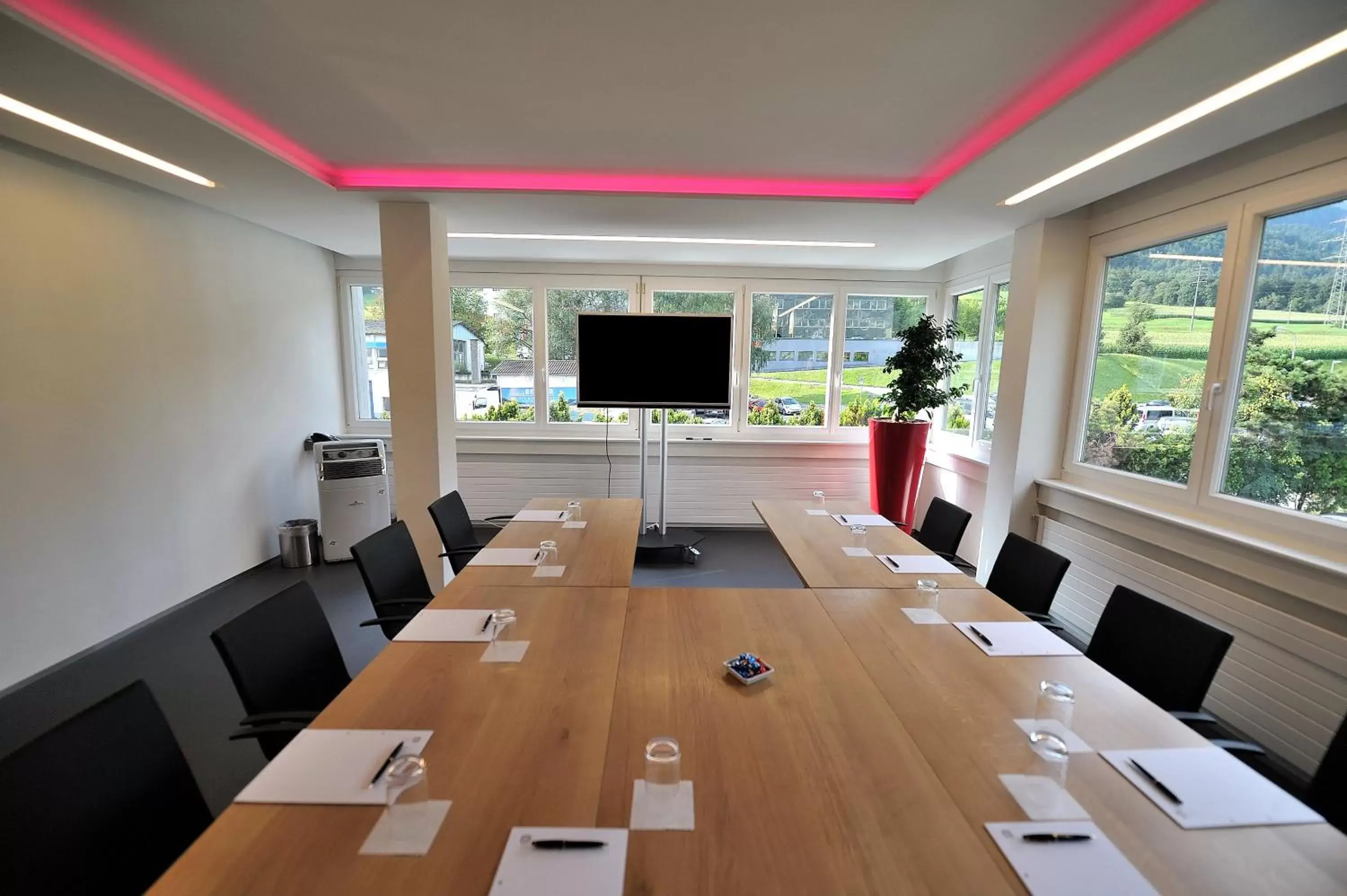 Business facilities in Hotel Sommerau